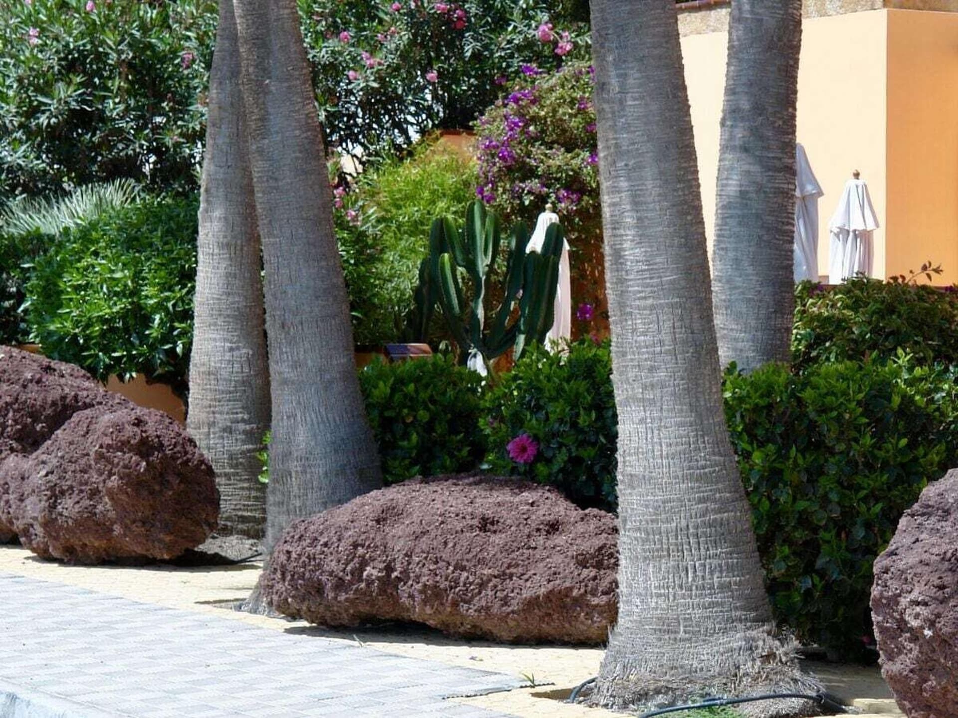 3-persoons vakantiehuis in het centrum van Costa Calma · 57 m² - foto 23
