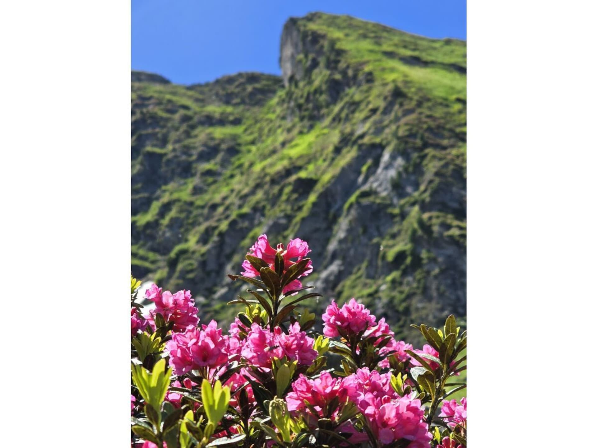 Zonnig vakantiehuis in Hippach met uitzicht op de Zillertaler Alpen - foto 21