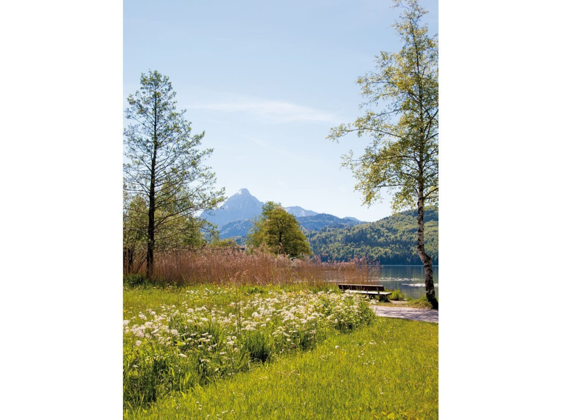 Ruim vakantiehuis in Füssen met uitzicht op bergen en meer - foto 19