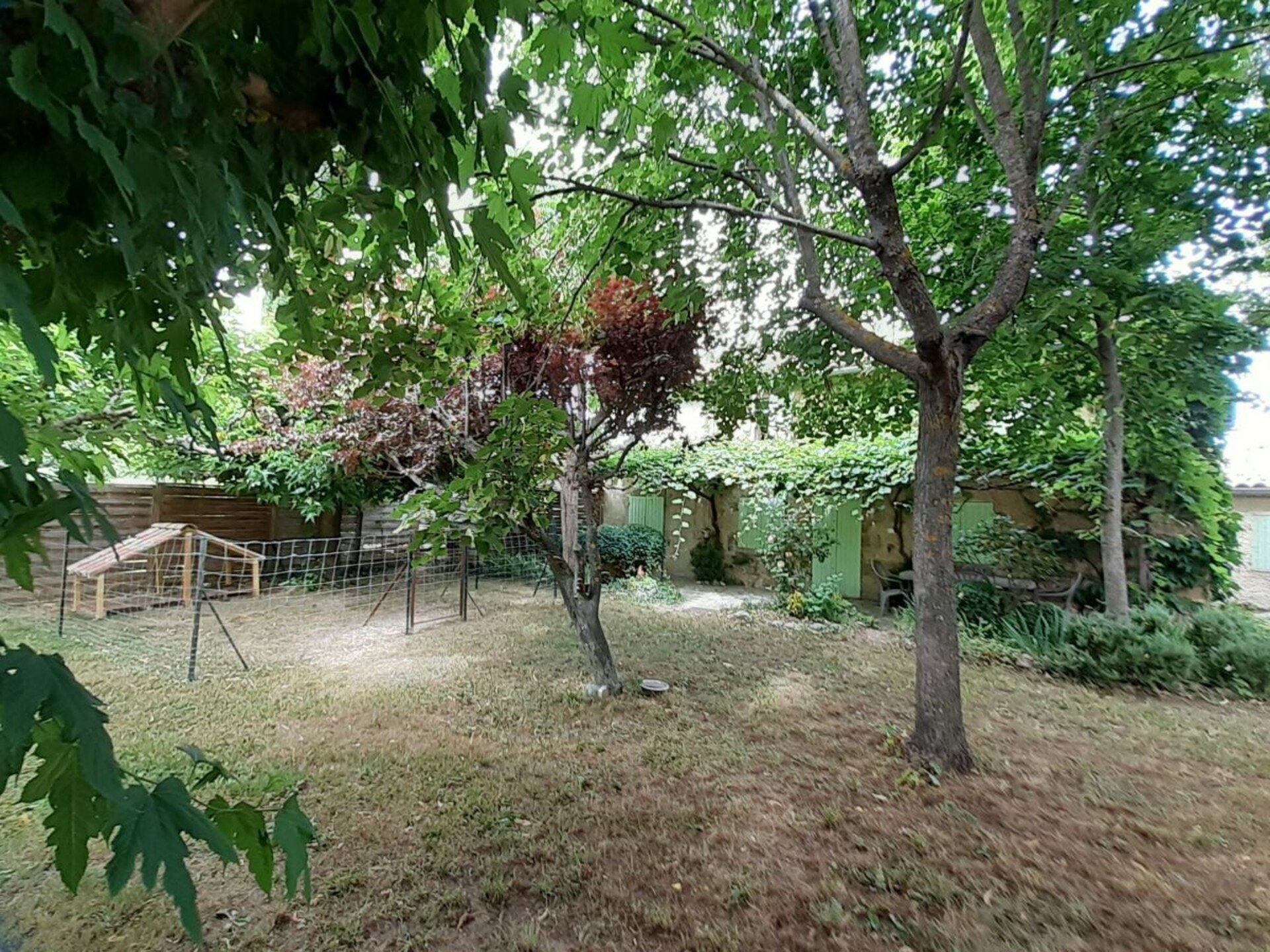 40771 - foto 3