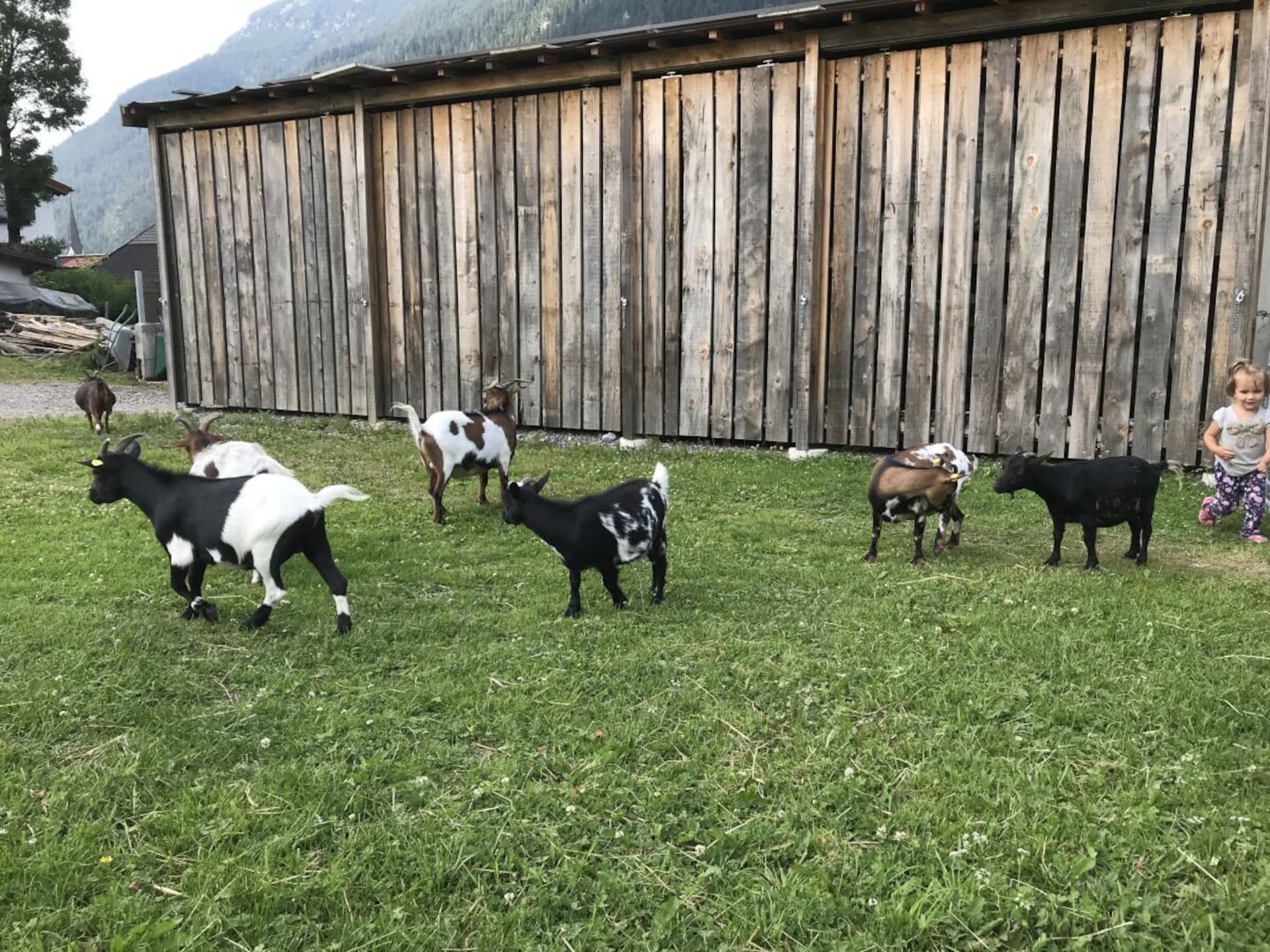 Op 500 m van de piste: Rustieke boerderij in centrum van Bichlbach - foto 13