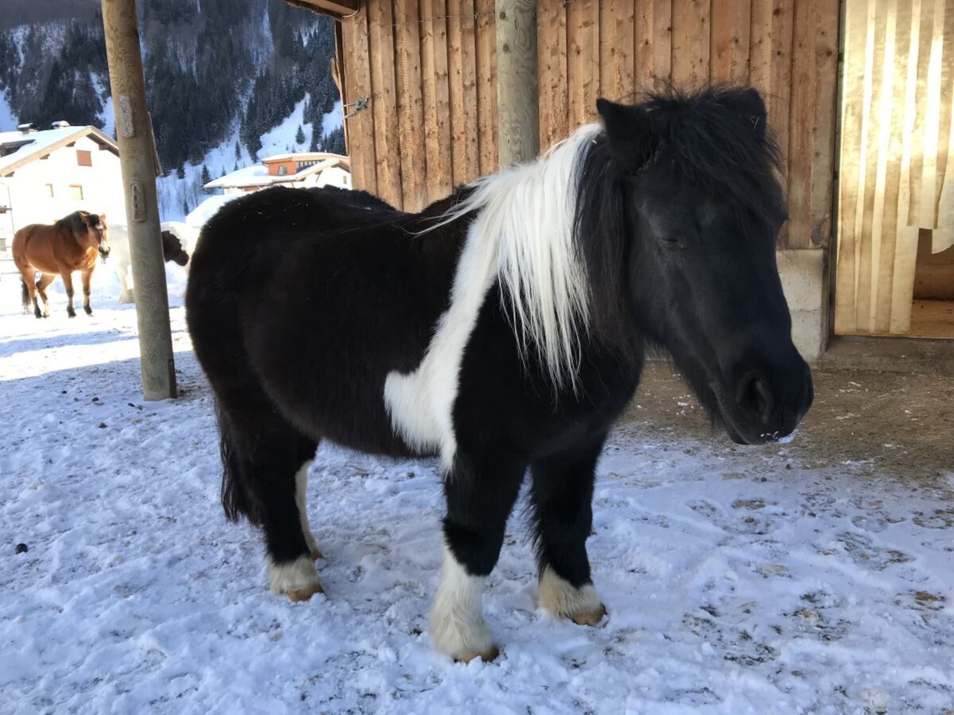 Op 500 m van de piste: Rustieke boerderij in centrum van Bichlbach - foto 15