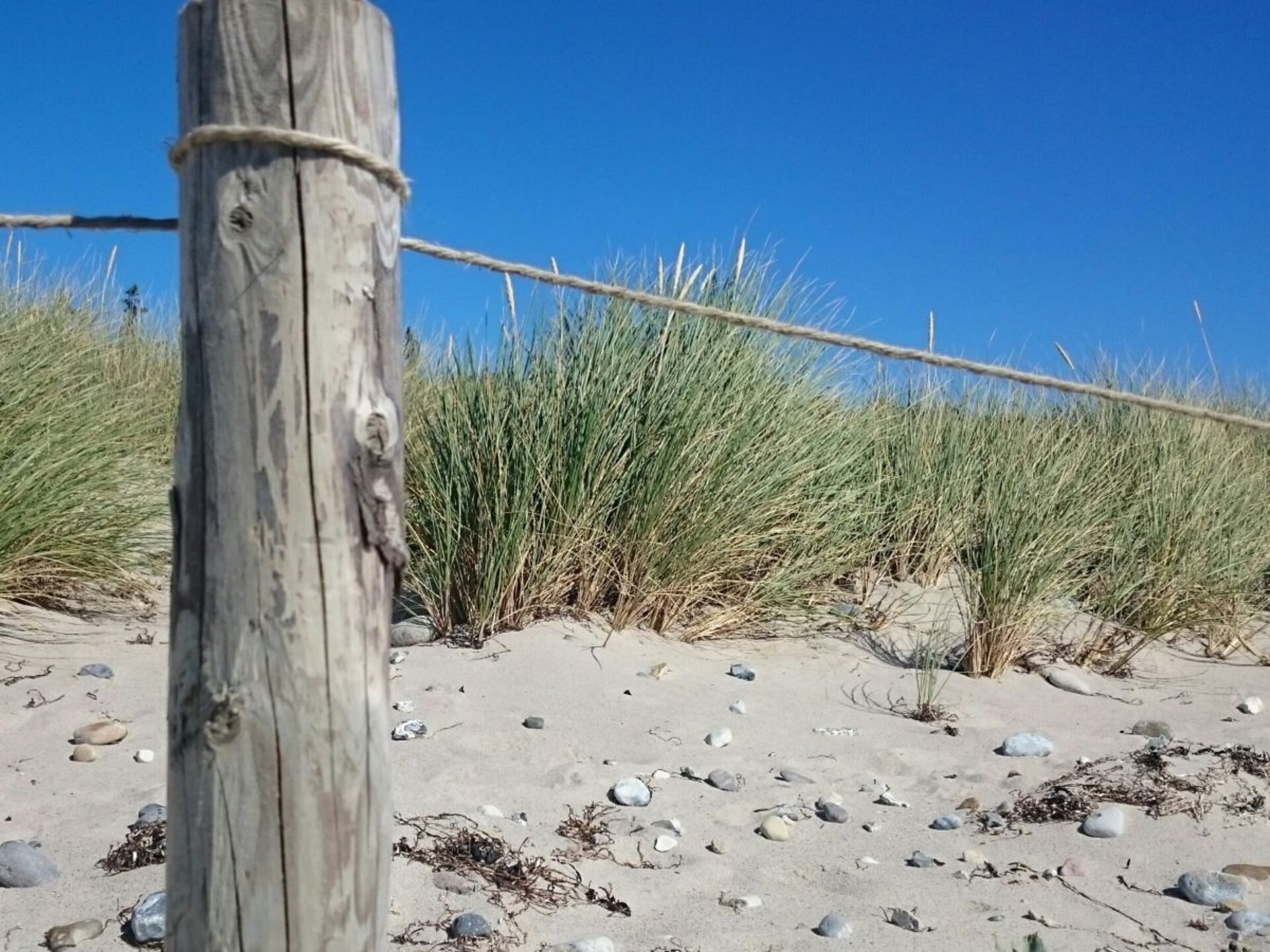 Gelijkvloers vakantiehuis in Lemkendorf op Fehmarn voor 4 personen - foto 19