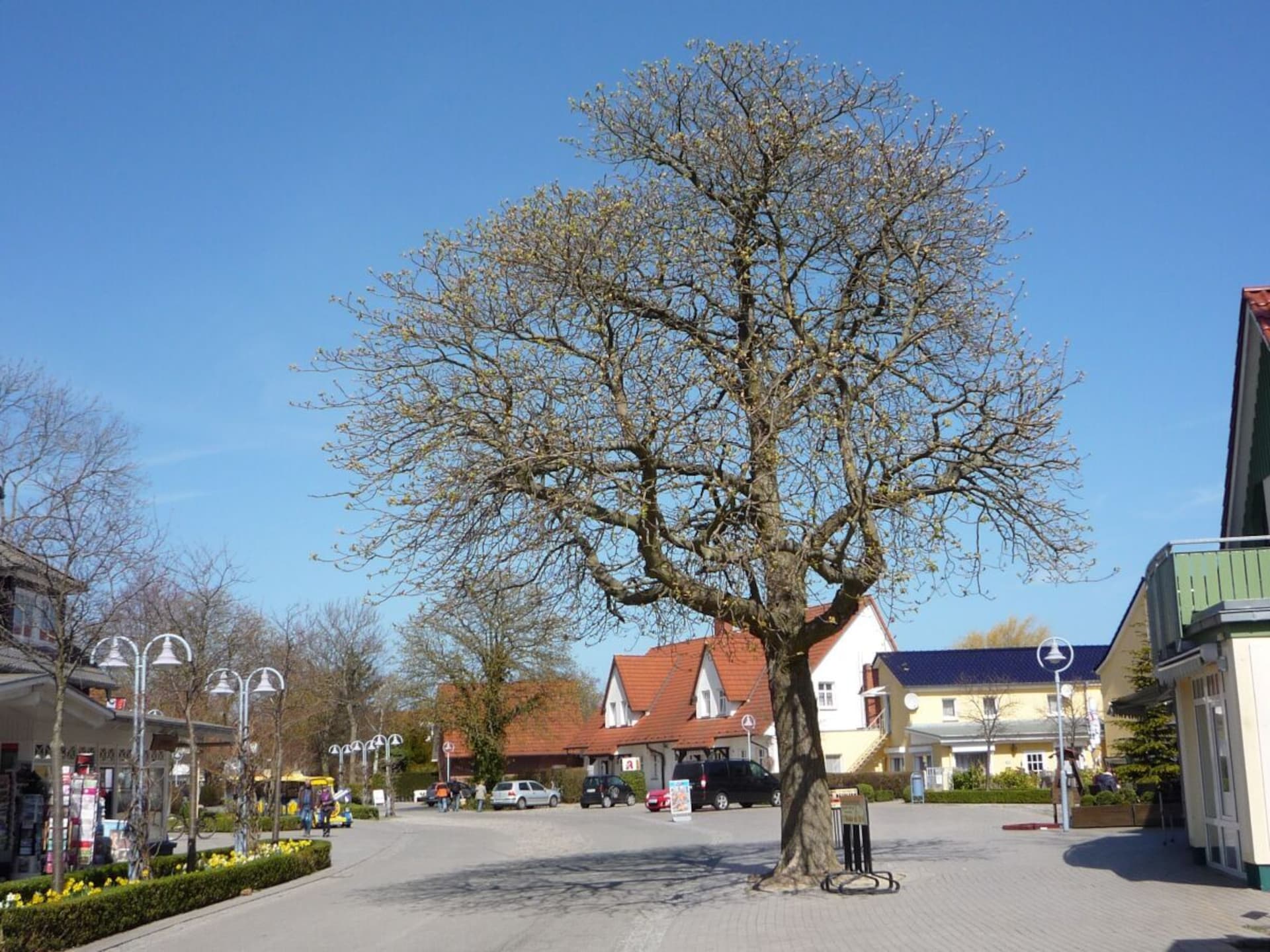 Centraal gelegen vakantiehuis Brigantine in Ostseeheilbad Zingst - foto 33