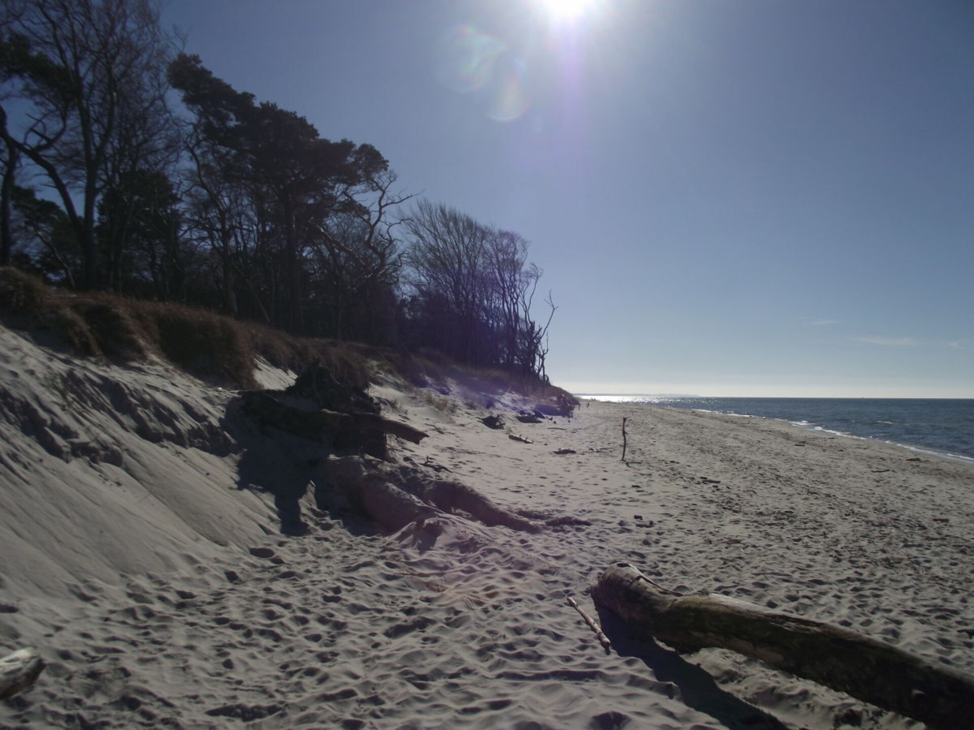 2-persoons vakantiehuis in het centrum van Ostseebad Prerow · 2 pers. - foto 15