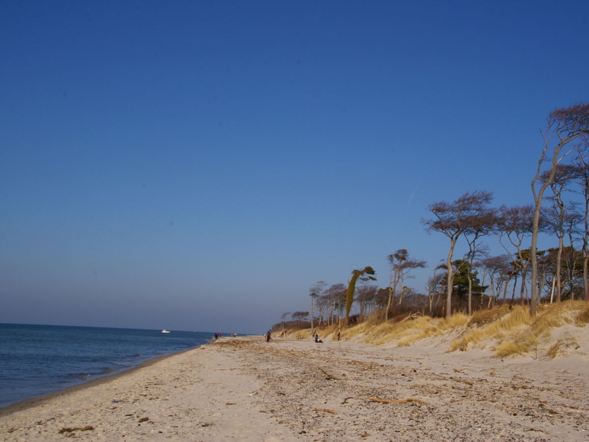 Centraal gelegen vakantiehuis met rieten dak in Ostseebad Prerow - foto 20