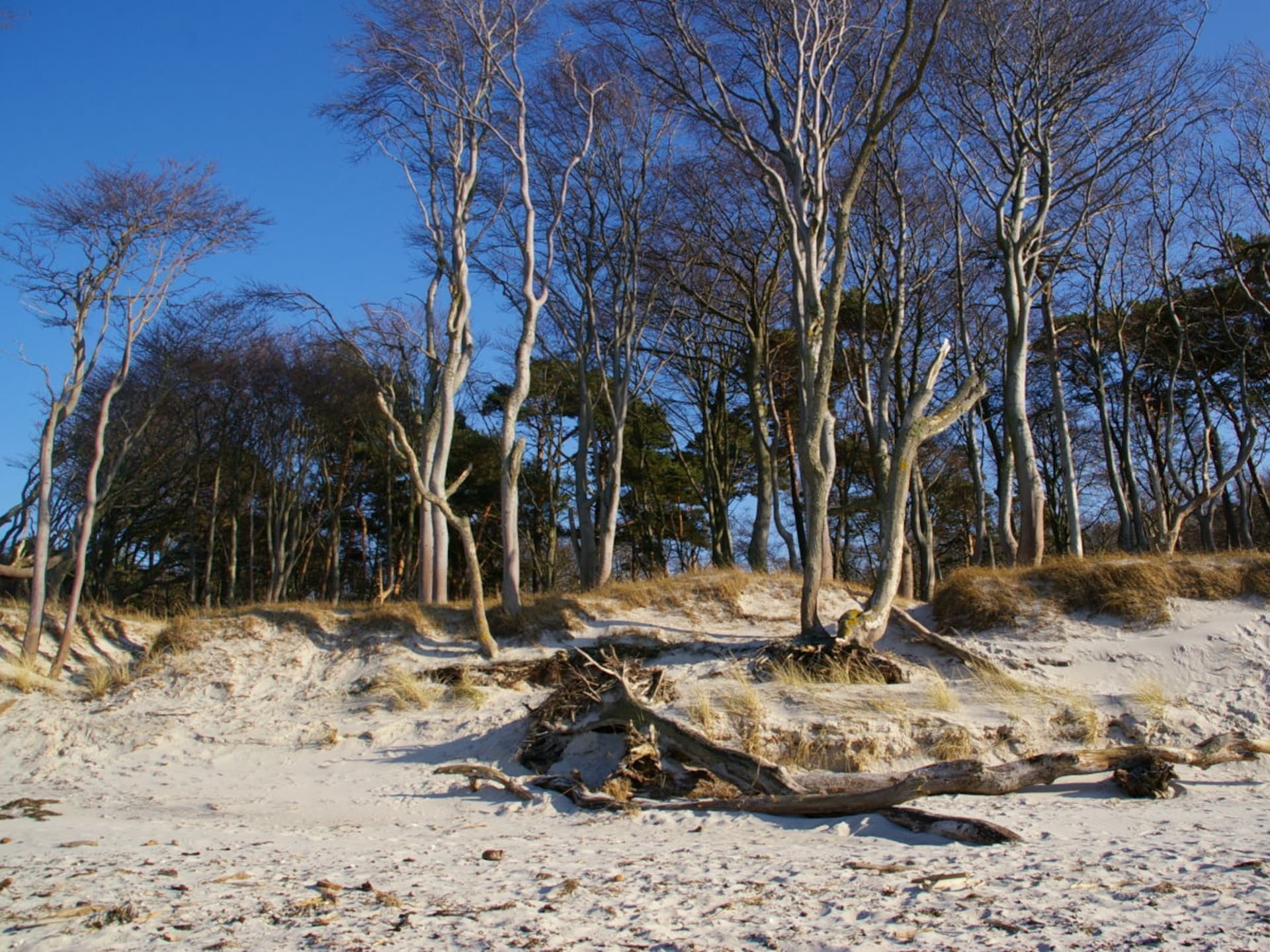 Centraal gelegen vakantiehuis met rieten dak in Ostseebad Prerow - foto 21