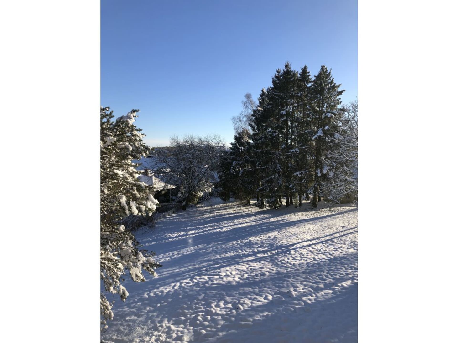 479162 - foto 14