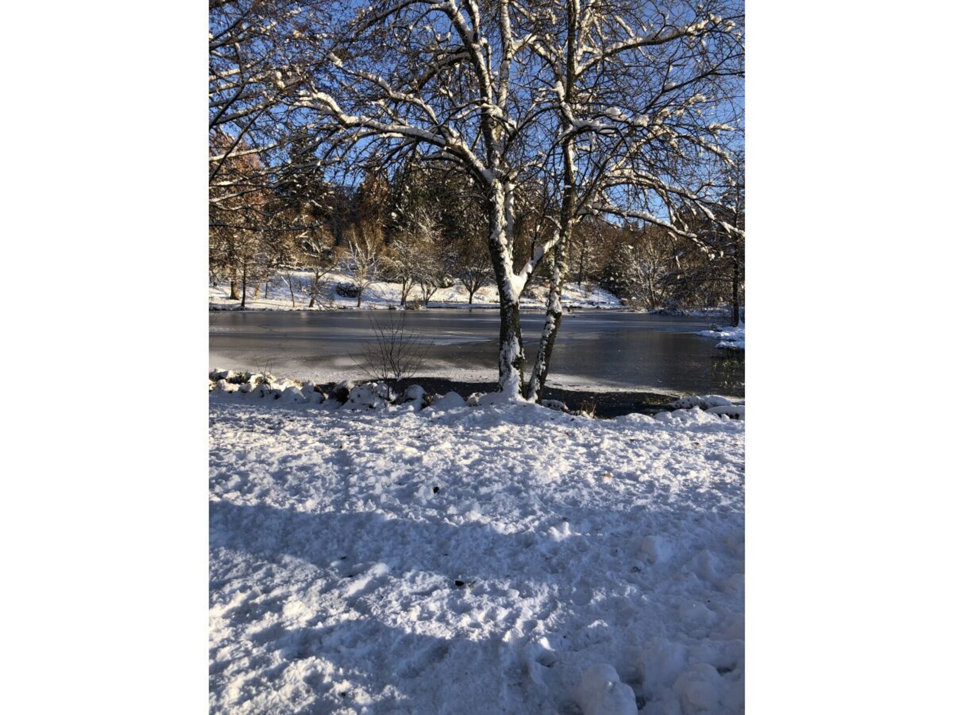 479162 - foto 16