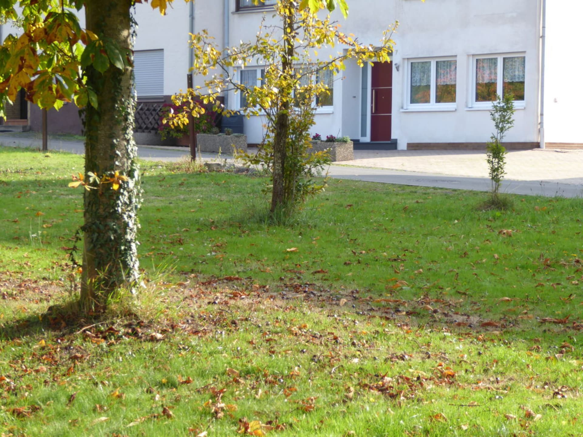 Modern vakantiehuis in Bernkastel-Kues voor 4 personen - foto 4
