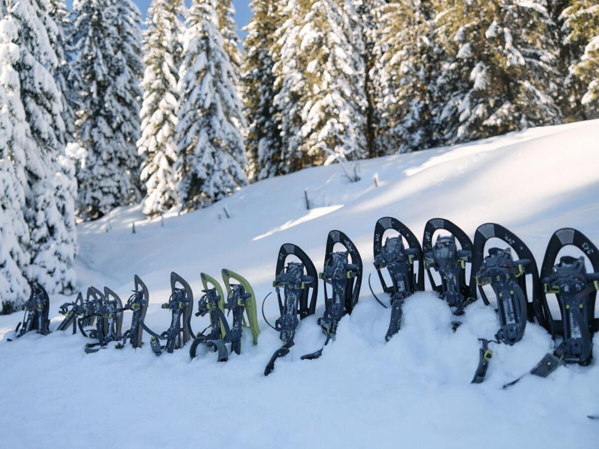 Op 1,0 km van de piste: sfeervol vakantiehuis in Mittelberg - foto 25