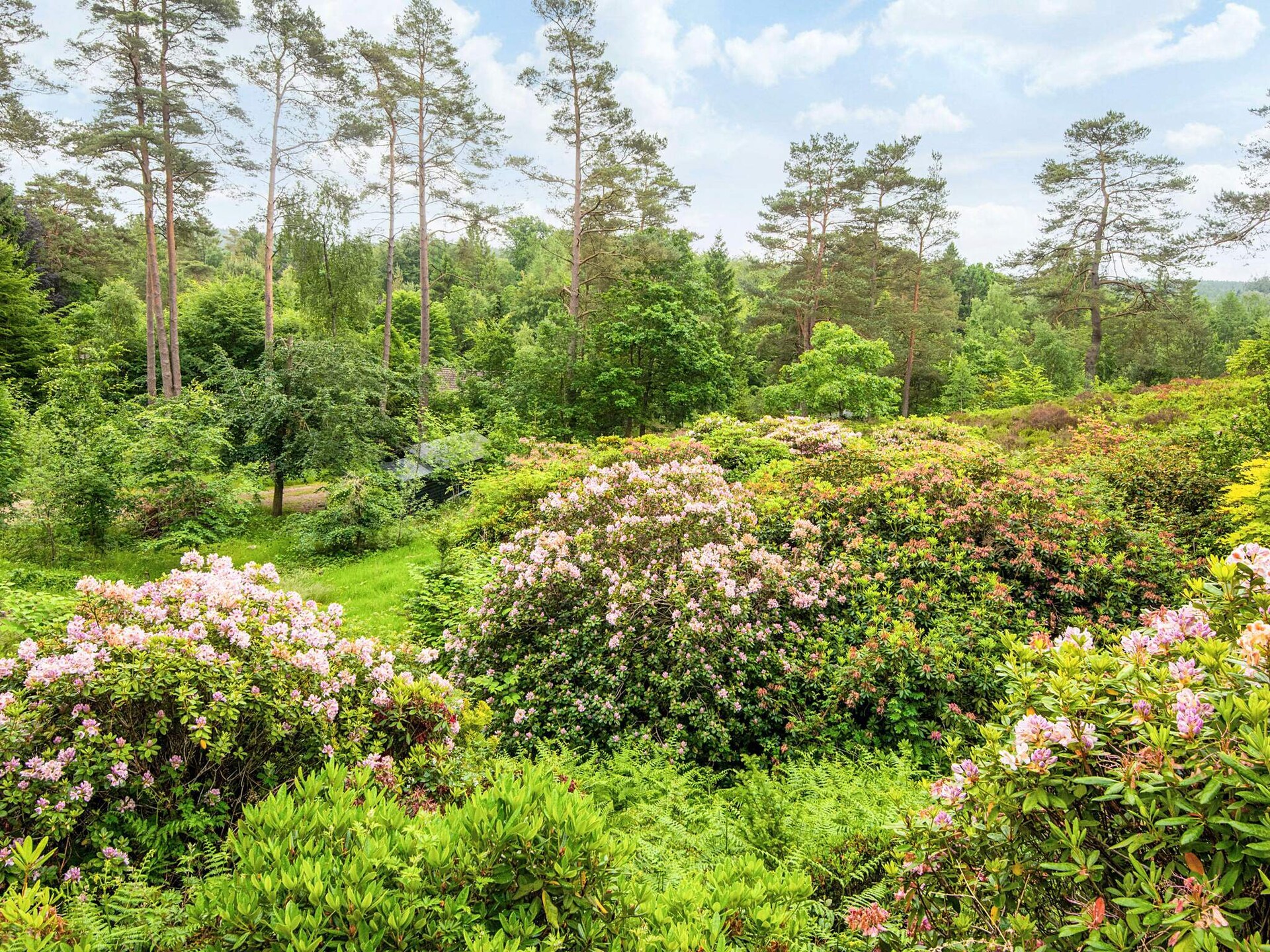 8-persoons vakantiehuis in Silkeborg op 350 meter van het meer - foto 36