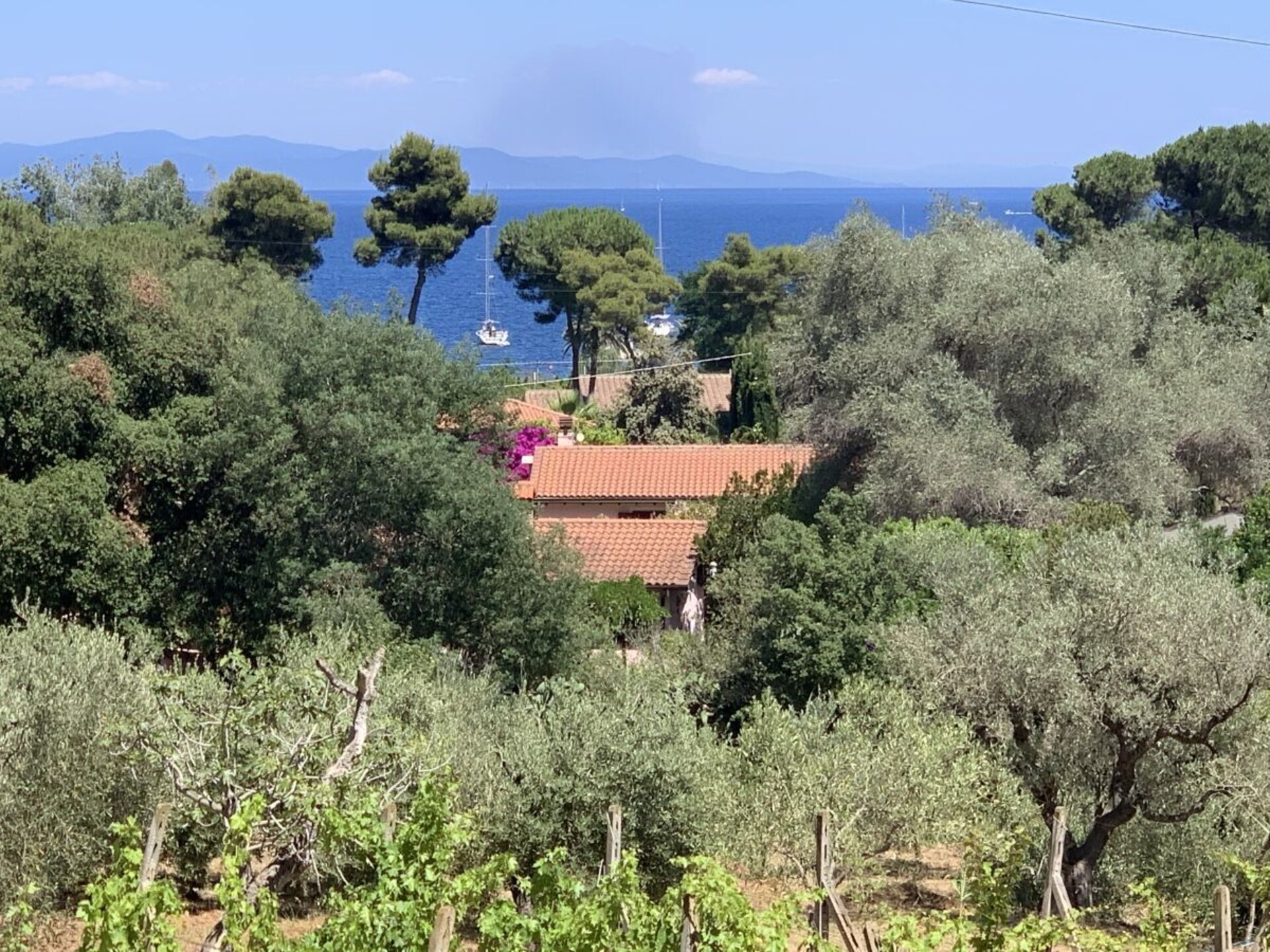 Sfeervol vakantiehuis in Capoliveri voor 5 personen - foto 1
