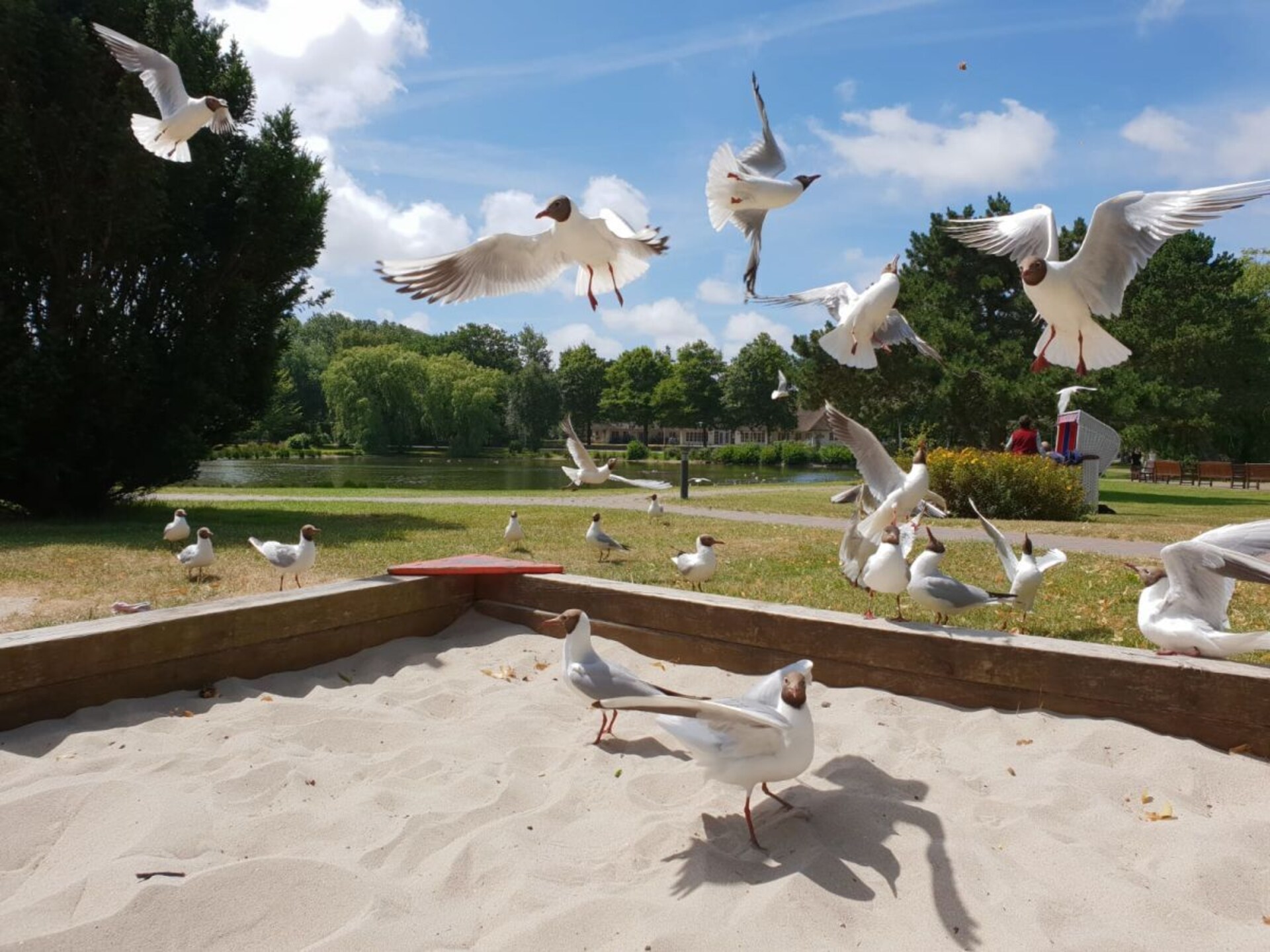 Sfeervol vakantiehuis in Wyk met uitzicht op het groen - foto 18
