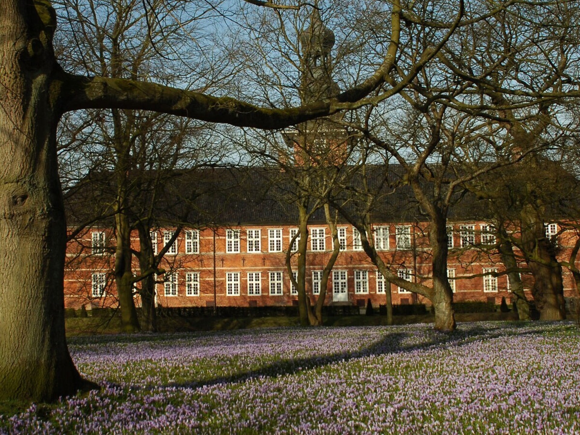 Ruim vakantiehuis in Husum met dakterras voor 4 personen - foto 15