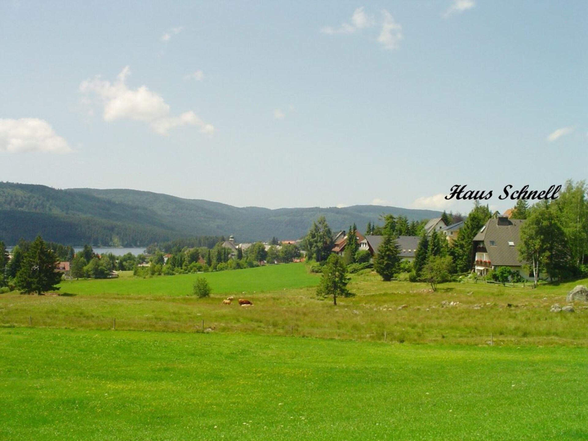 2-persoons vakantiehuis in Schluchsee met zuidbalkon - foto 2
