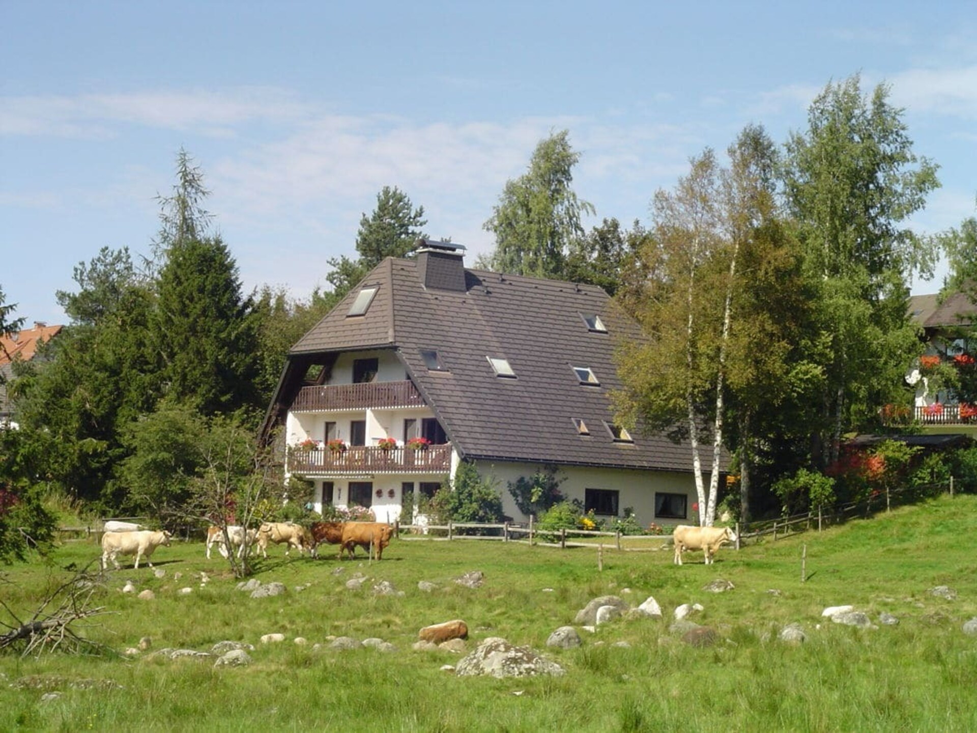 2-persoons vakantiehuis in Schluchsee met zuidbalkon - foto 3