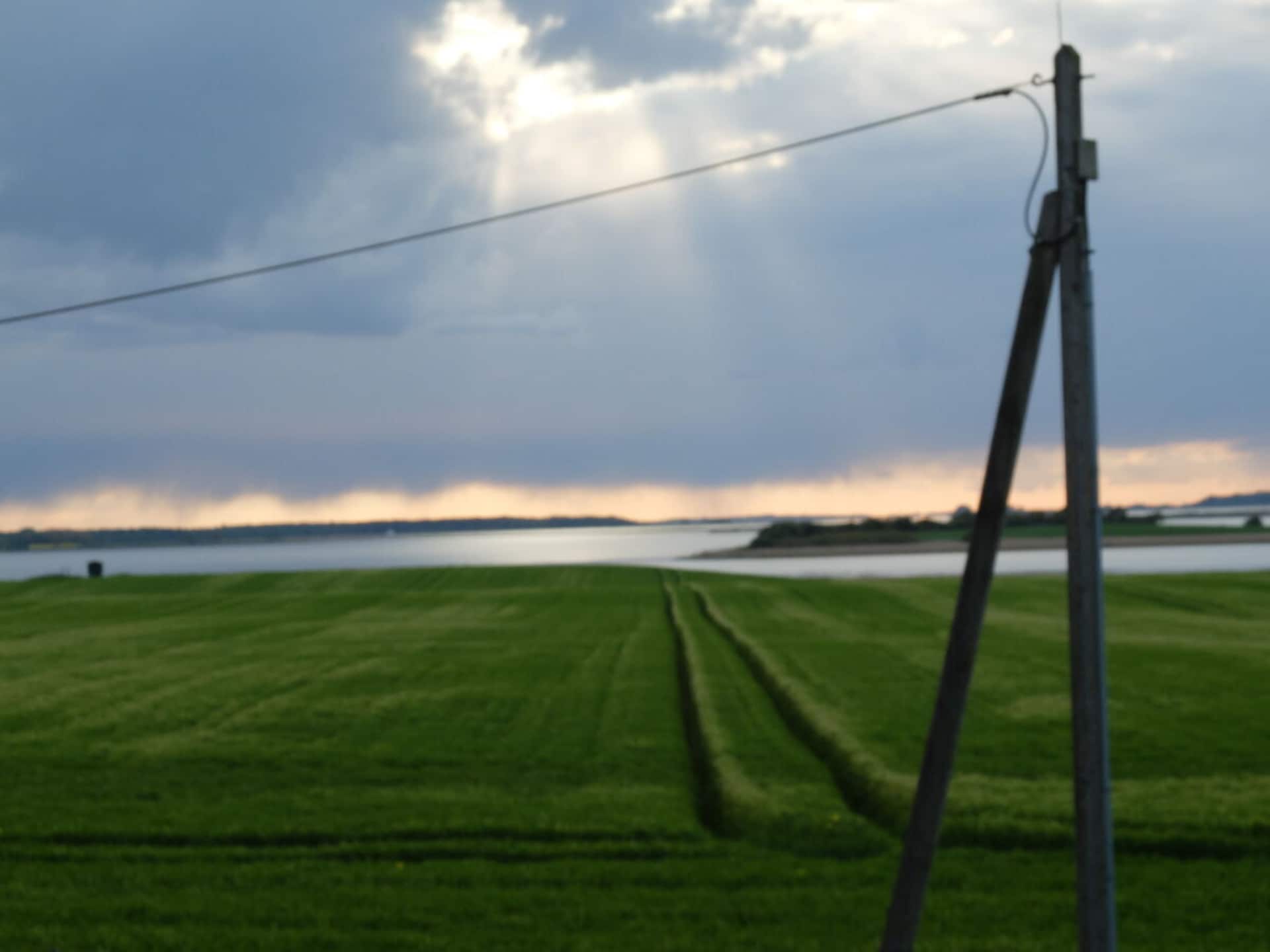 287337 - foto 2