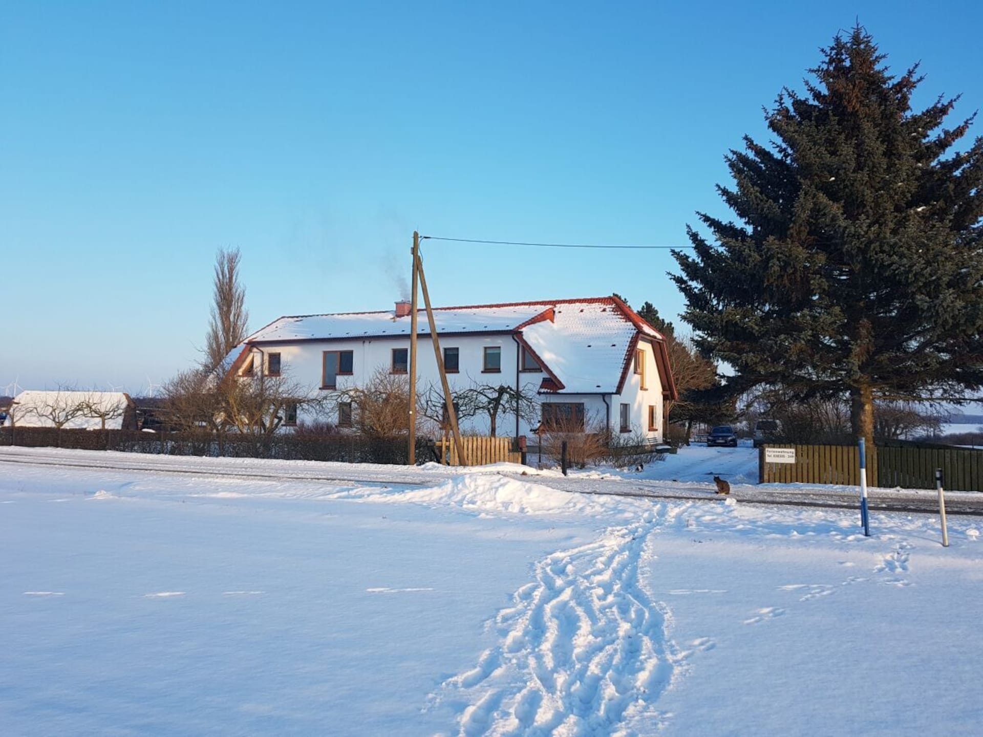 287337 - foto 9