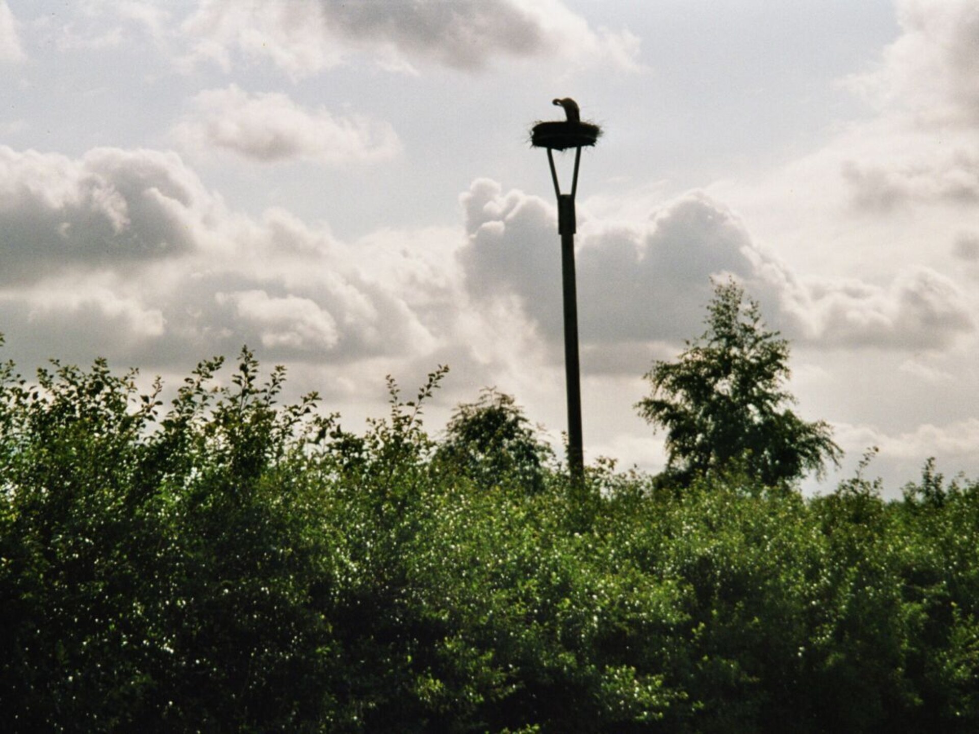 287337 - foto 17