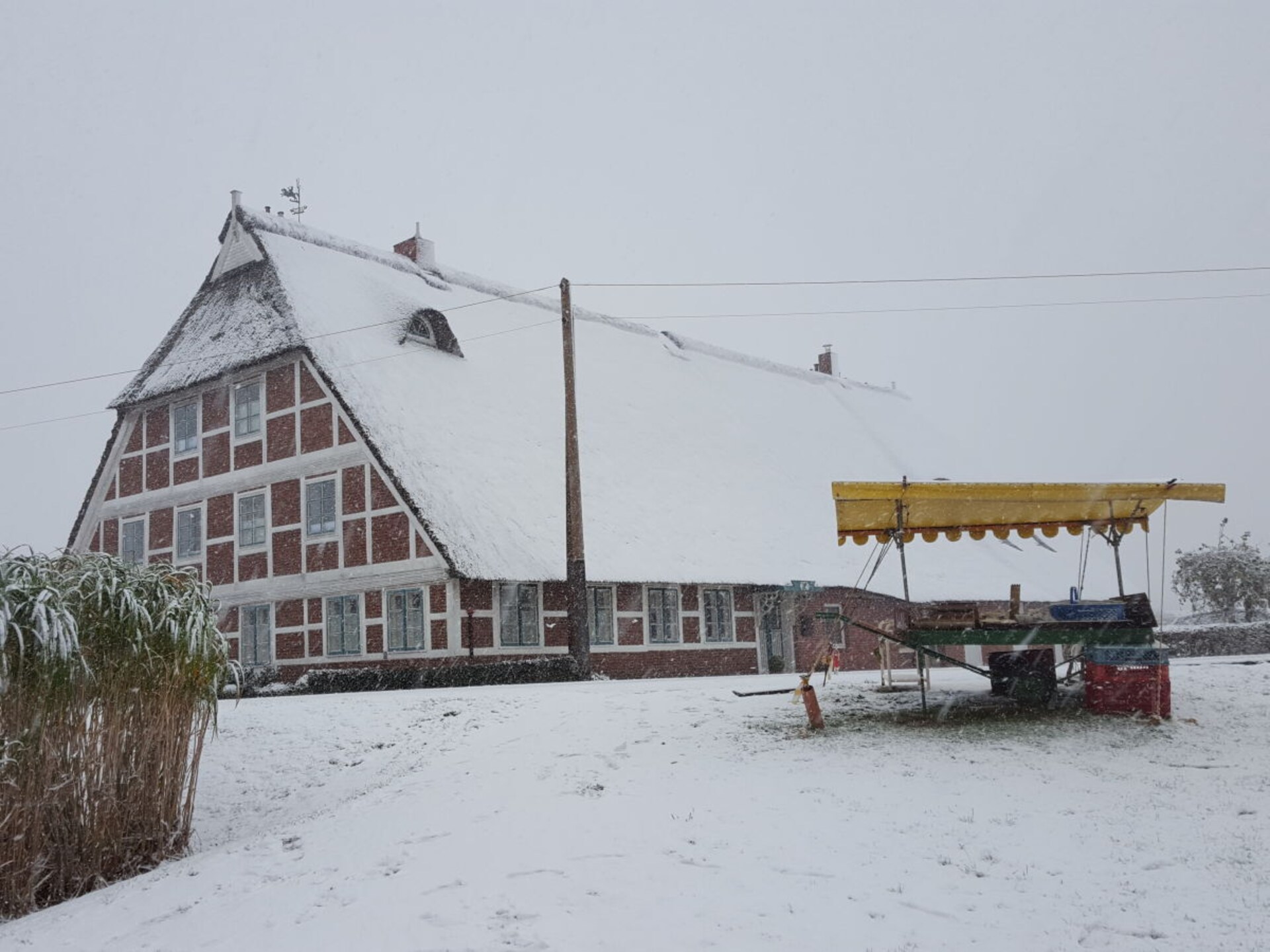 120143 - foto 2