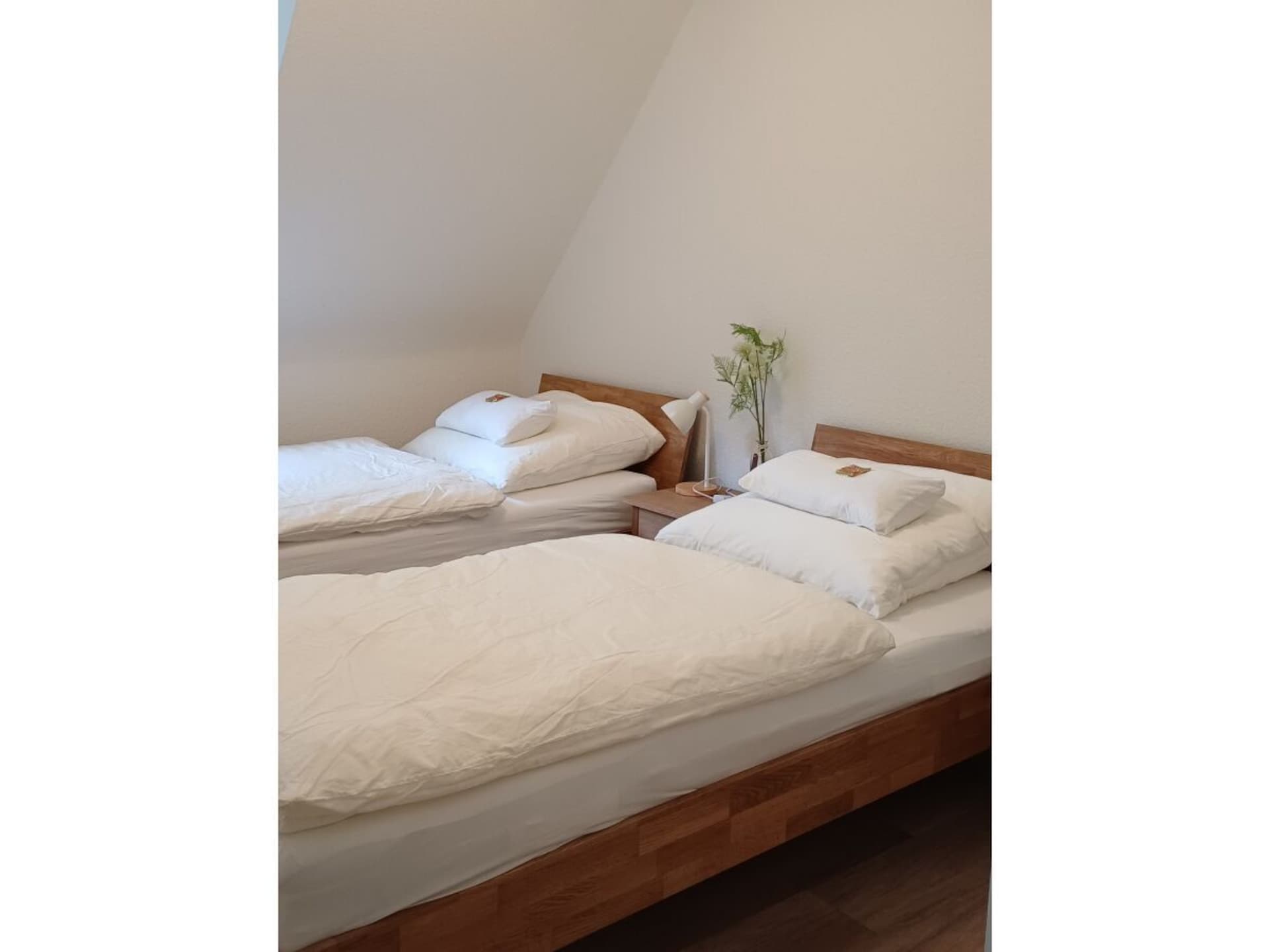 749065 - foto 7