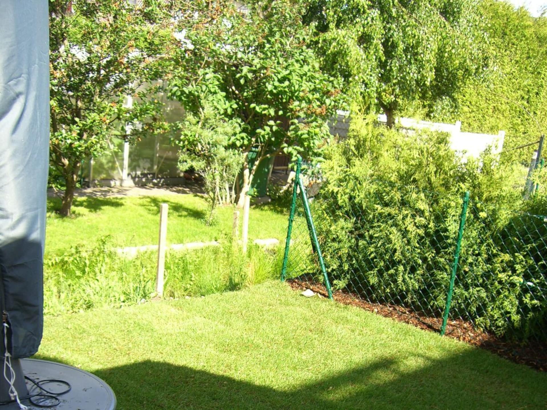 64345 - foto 5