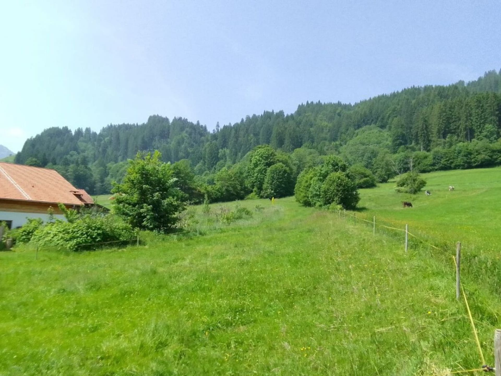 545643 - foto 18