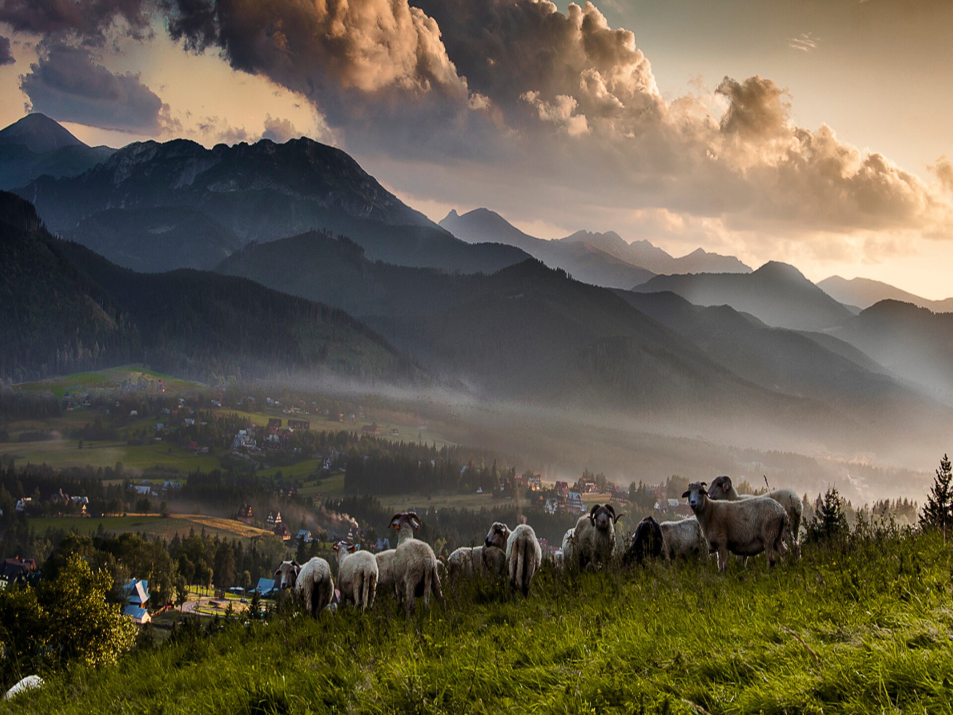 Sfeervol vakantiehuis aan de voet van het Tatra-gebergte in Kościelisko - foto 25