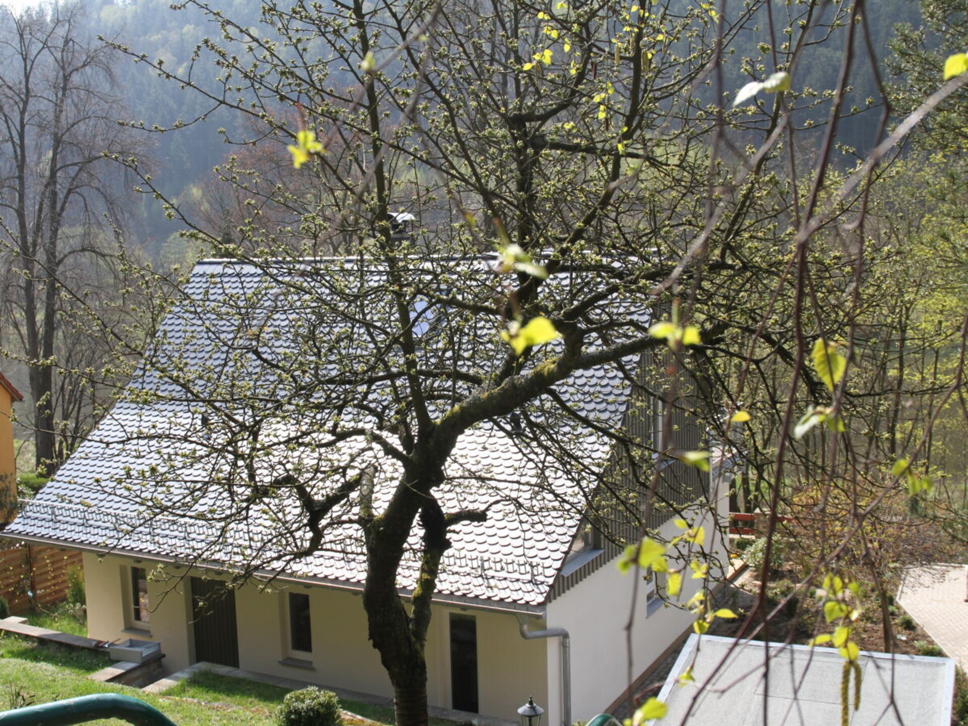 Ruim vakantiehuis Elbsinfonie in Bad Schandau voor 6 personen - foto 12