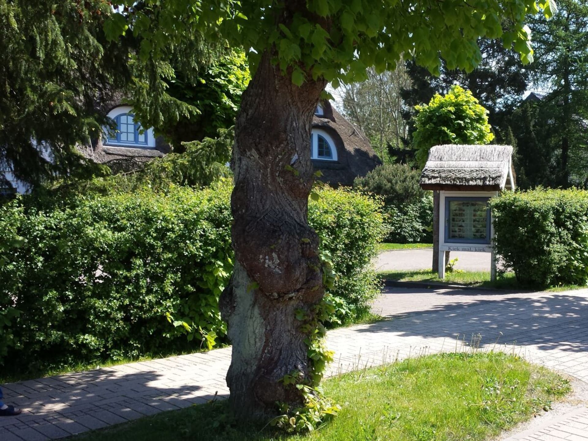 4-persoons vakantiehuis in het centrum van Ostseeheilbad Zingst - foto 2