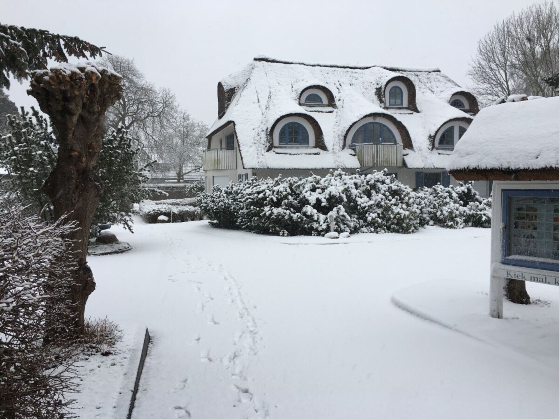 4-persoons vakantiehuis in het centrum van Ostseeheilbad Zingst - foto 6