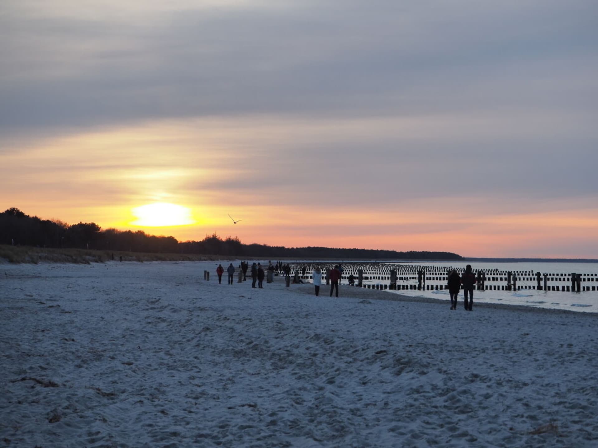 4-persoons vakantiehuis in het centrum van Ostseeheilbad Zingst - foto 17