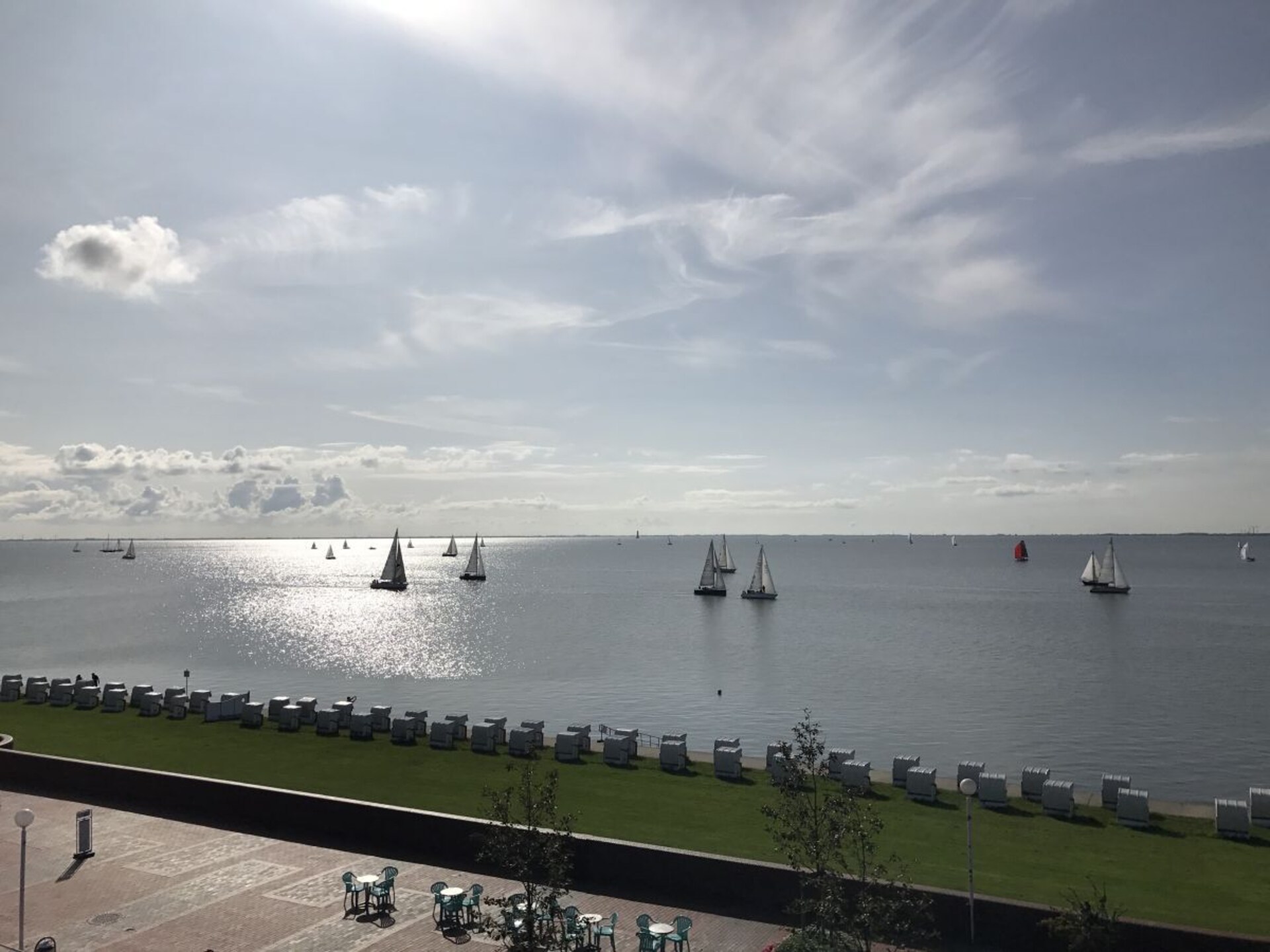 141781 - foto 22