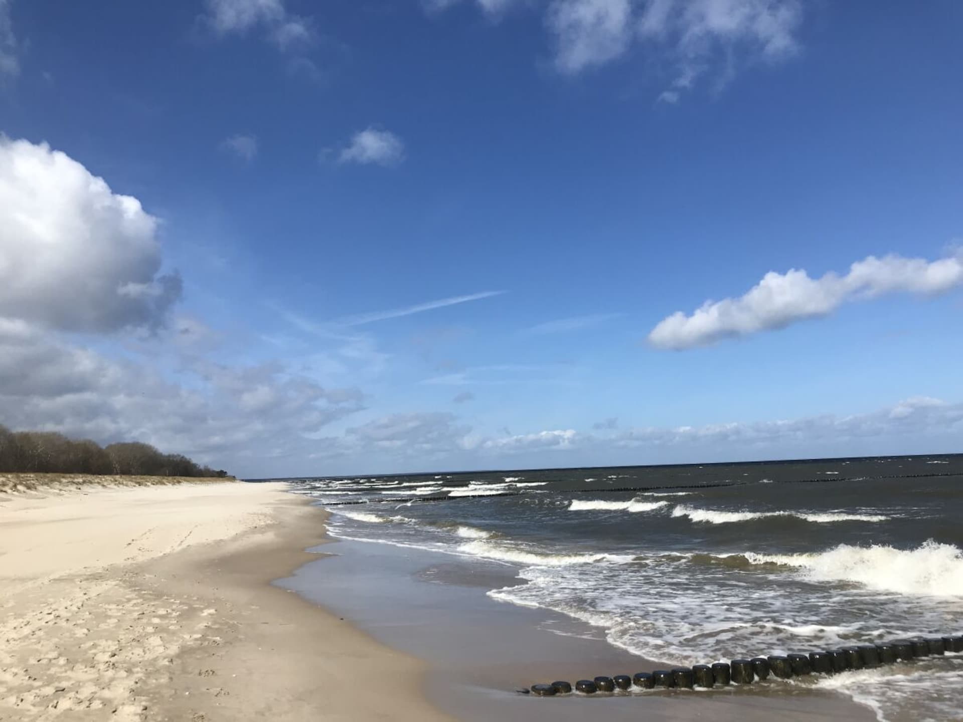 72869 - foto 12