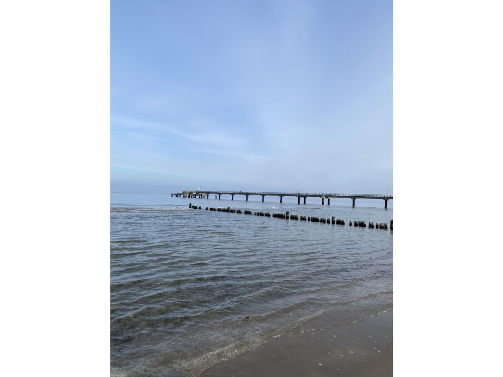72869 - foto 13