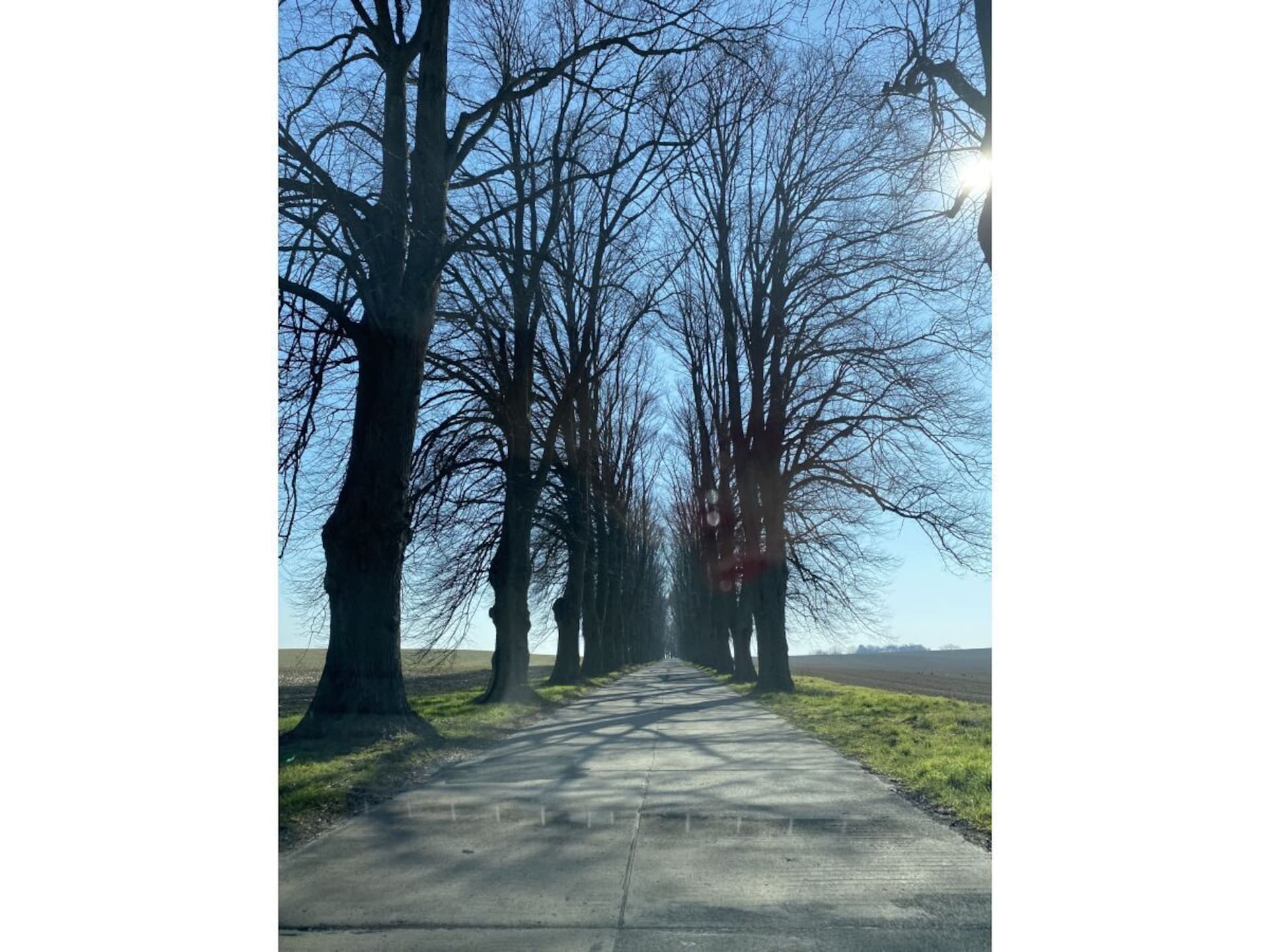 72869 - foto 14