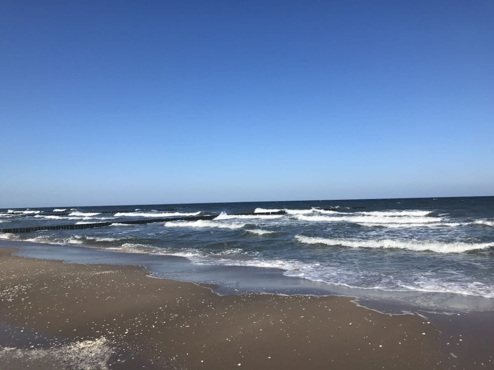 72869 - foto 17