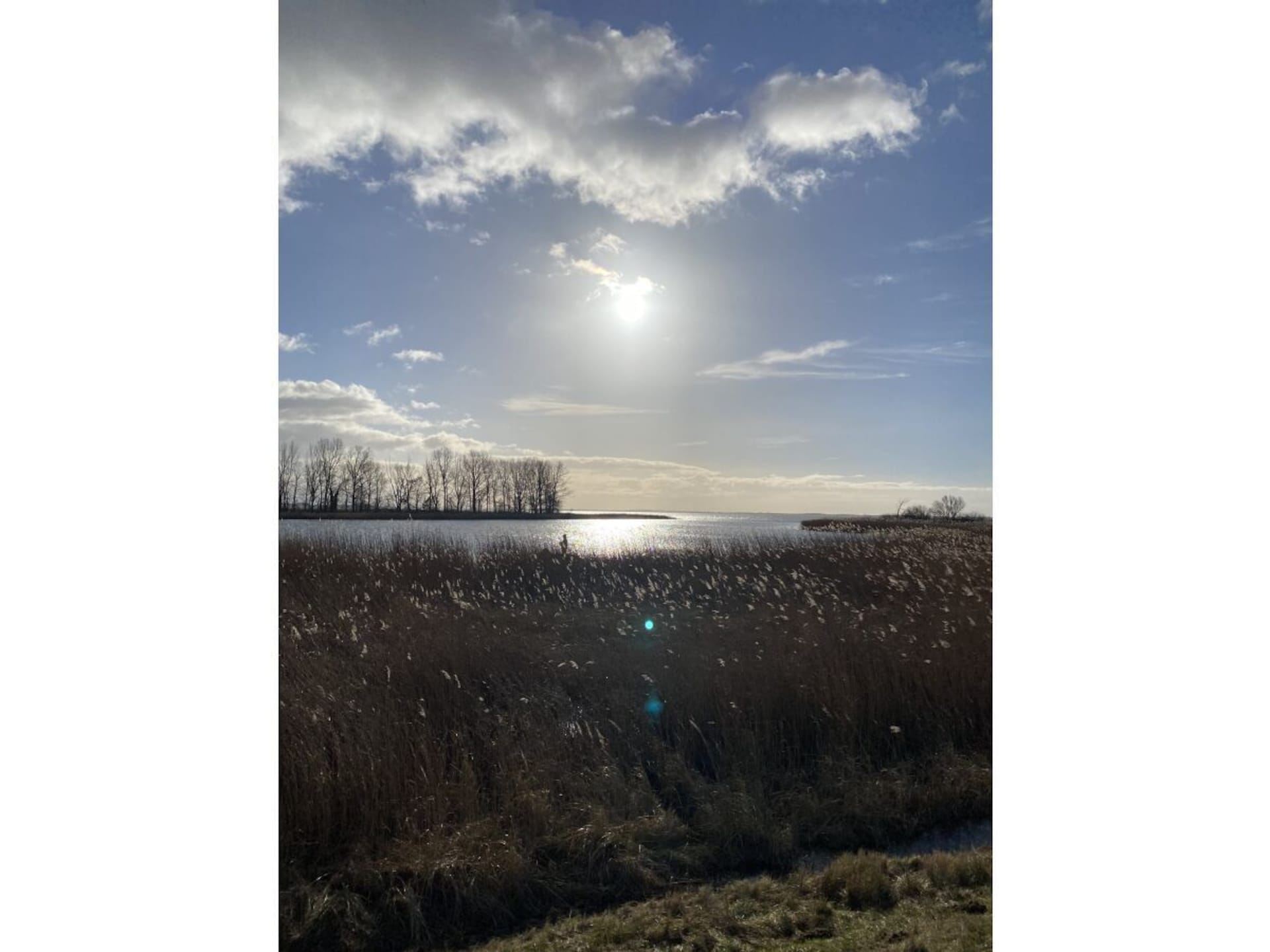 72869 - foto 18