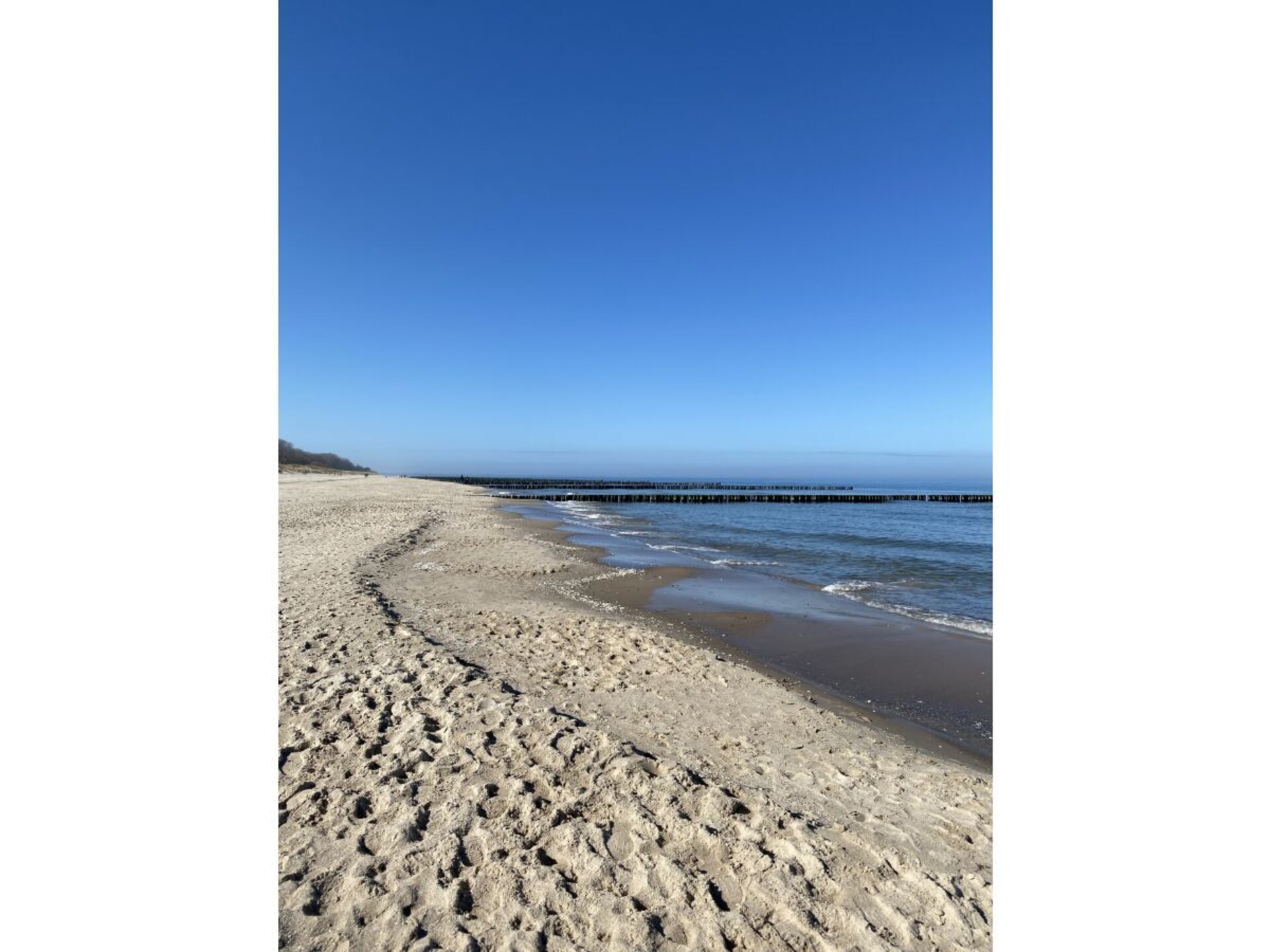 72869 - foto 38