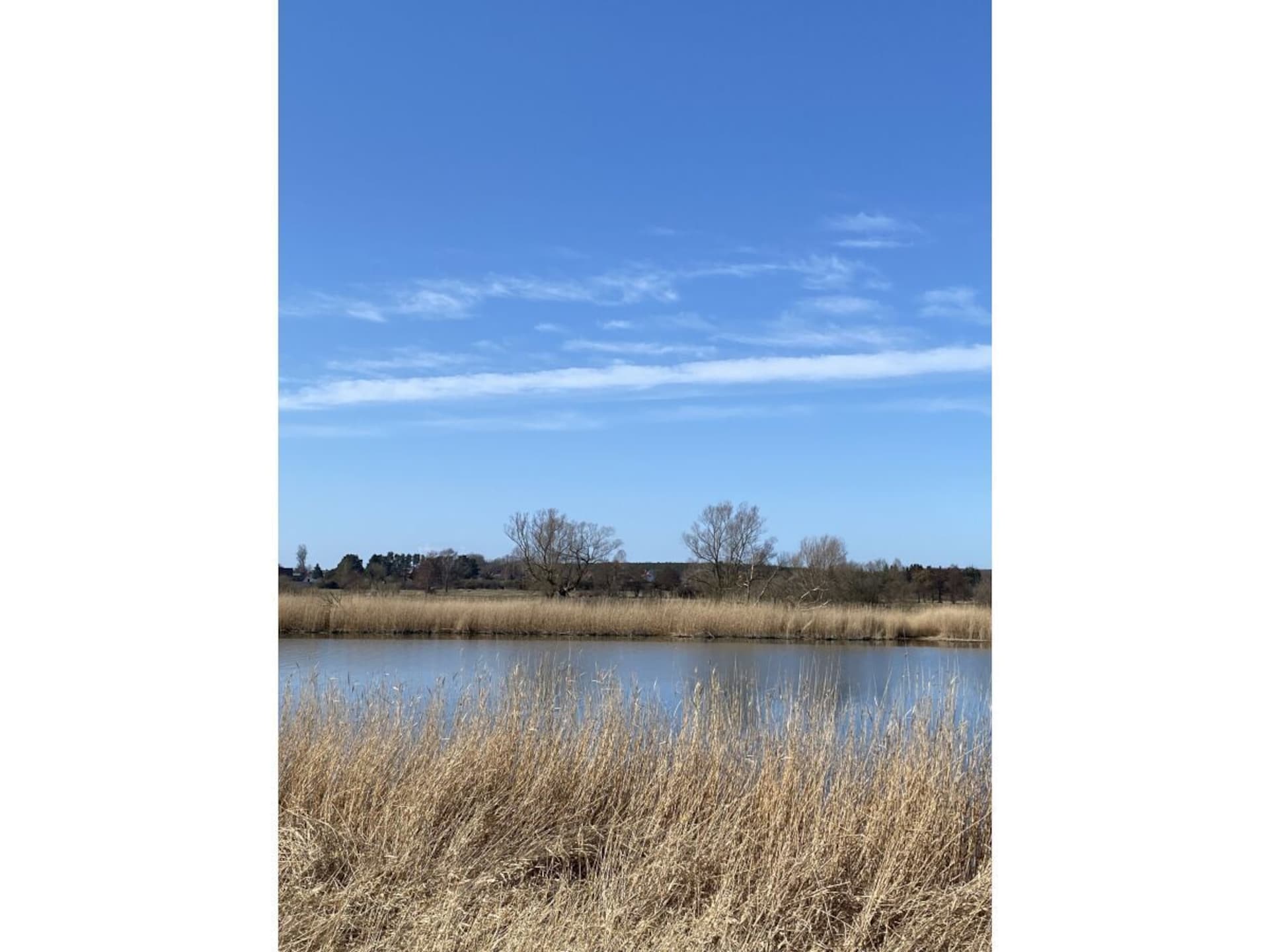 72869 - foto 40