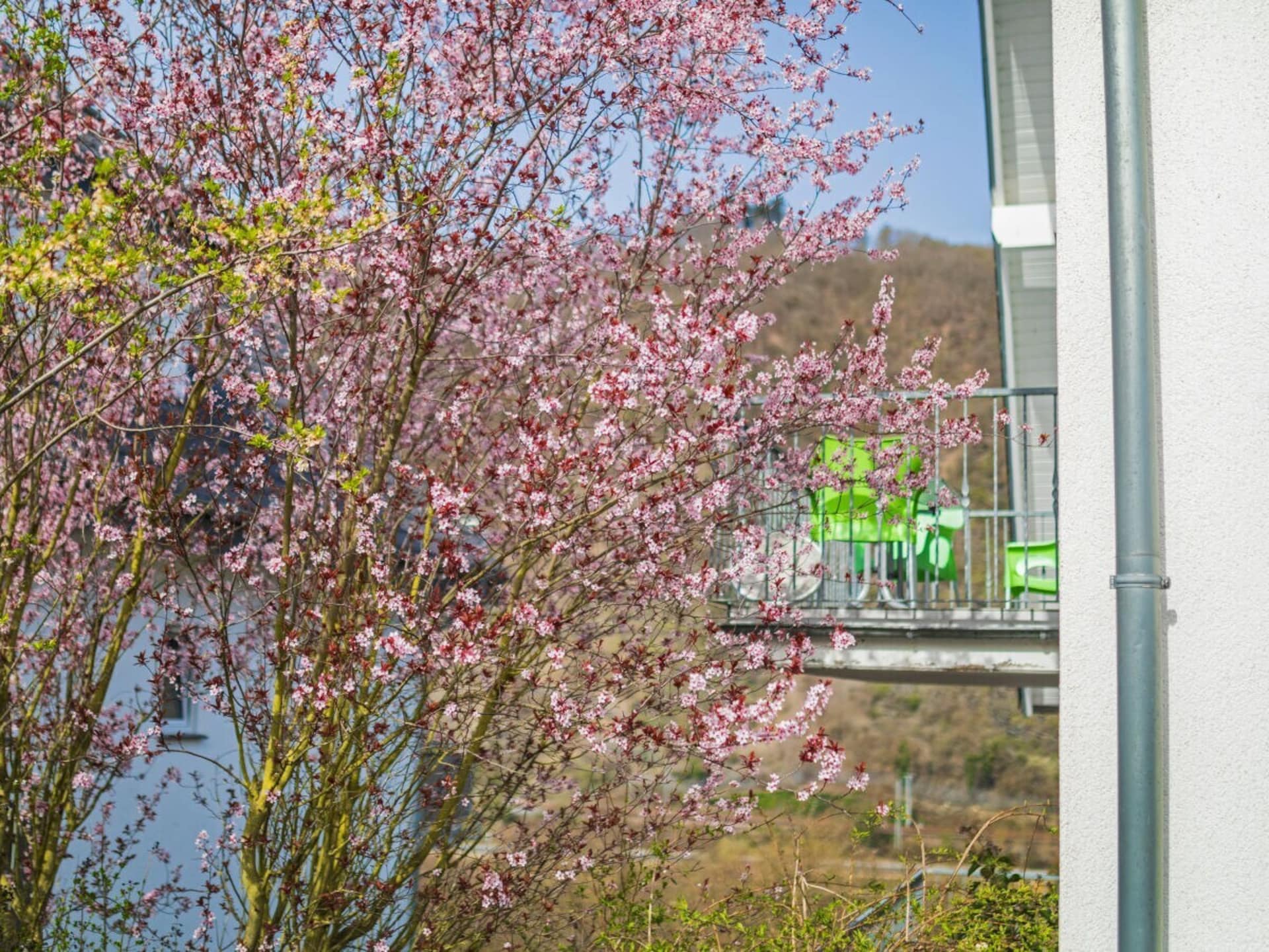 Licht vakantiehuis in Cochem met terras en uitzicht op de Moezel - foto 3