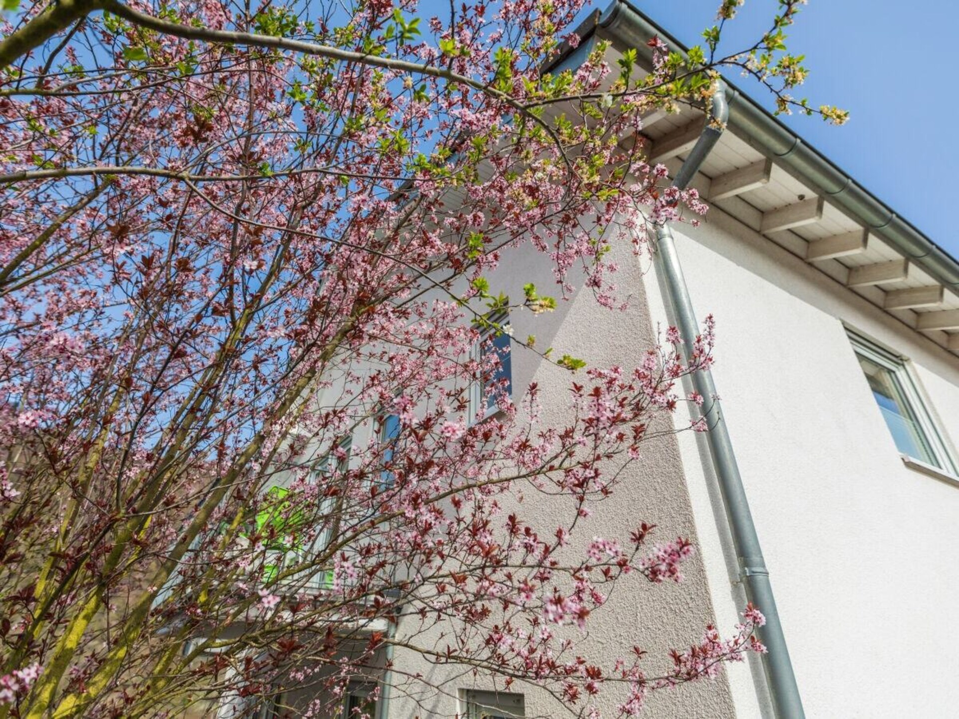 Licht vakantiehuis in Cochem met terras en uitzicht op de Moezel - foto 5