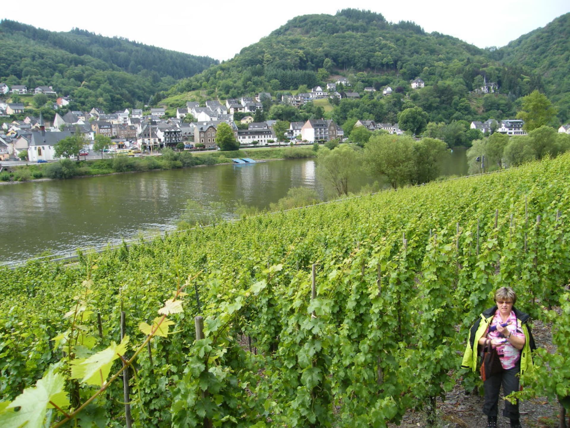 Licht vakantiehuis in Cochem met terras en uitzicht op de Moezel - foto 24