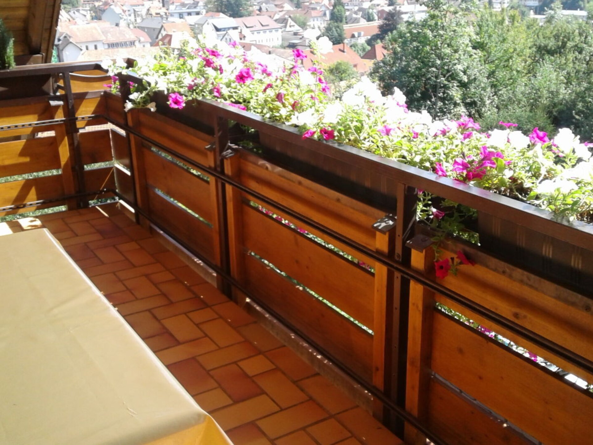 Gezellig vakantiehuis in Todtnau met prachtig uitzicht - foto 13