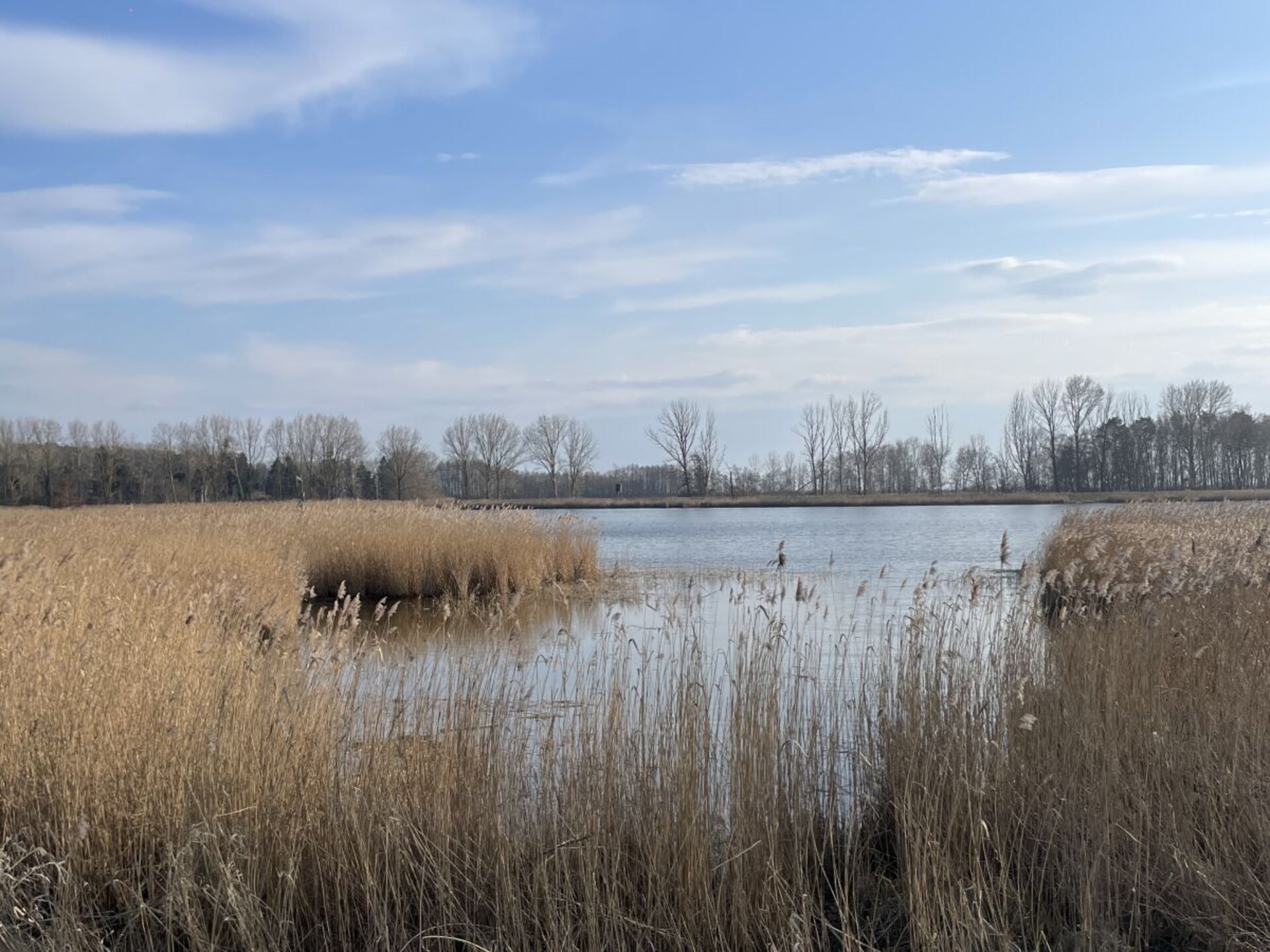 Rustig vakantiehuis in Zempin voor 3 personen - foto 12