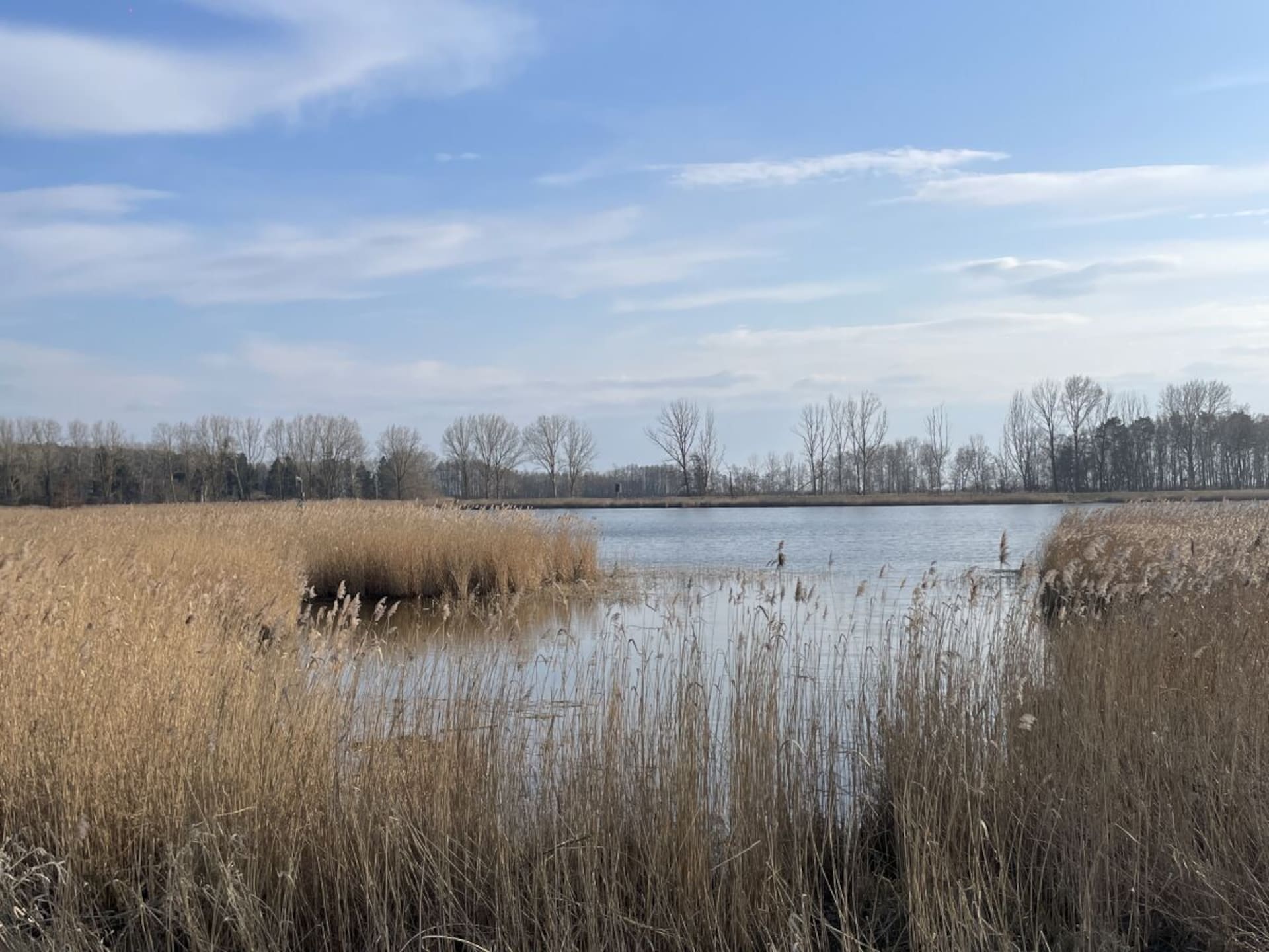 Sfeervol vakantiehuis voor 2 personen in rustig Zempin - foto 11