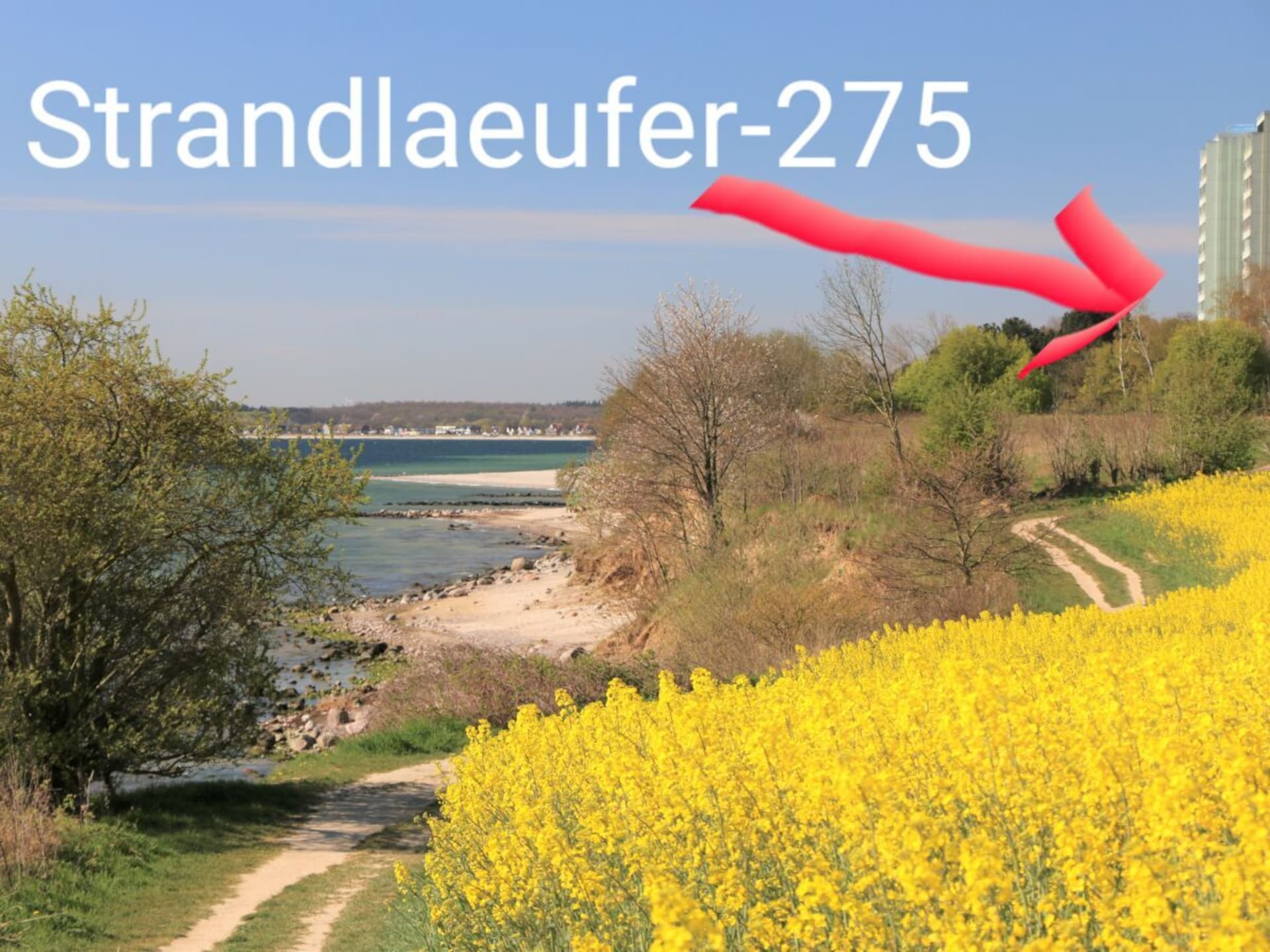 Vakantiehuis aan zee in Sierksdorf met direct strandzicht - foto 8