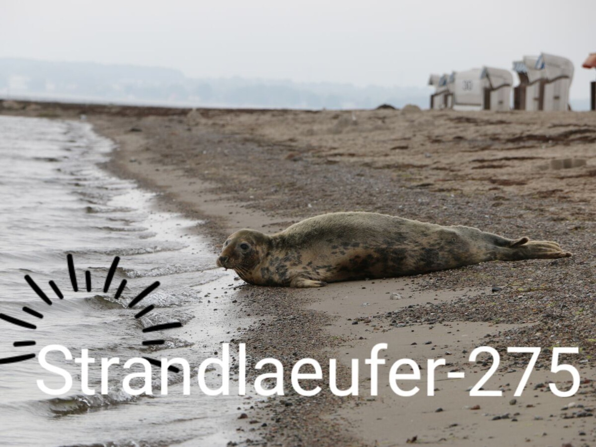 Vakantiehuis aan zee in Sierksdorf met direct strandzicht - foto 10