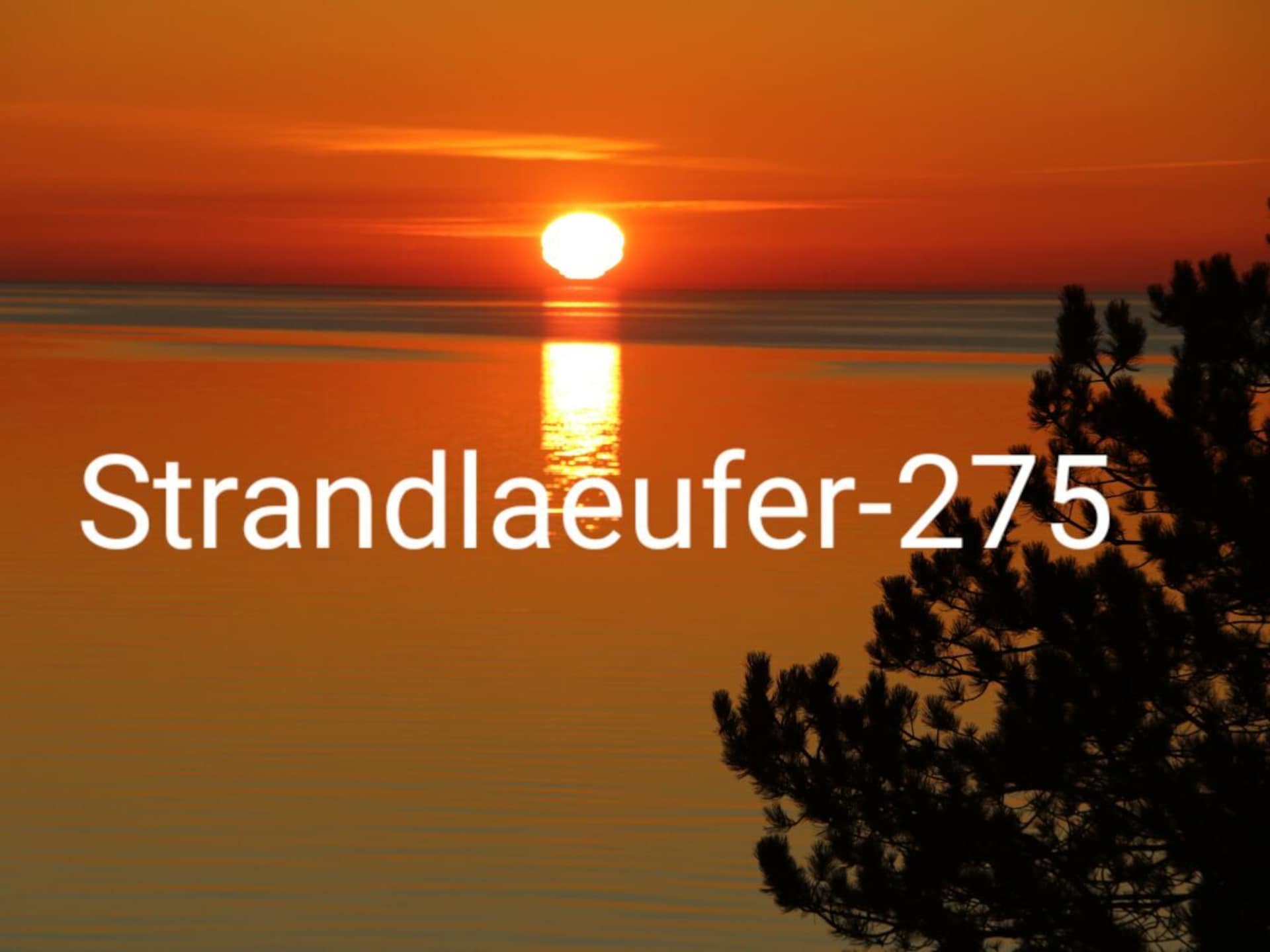 Vakantiehuis aan zee in Sierksdorf met direct strandzicht - foto 12